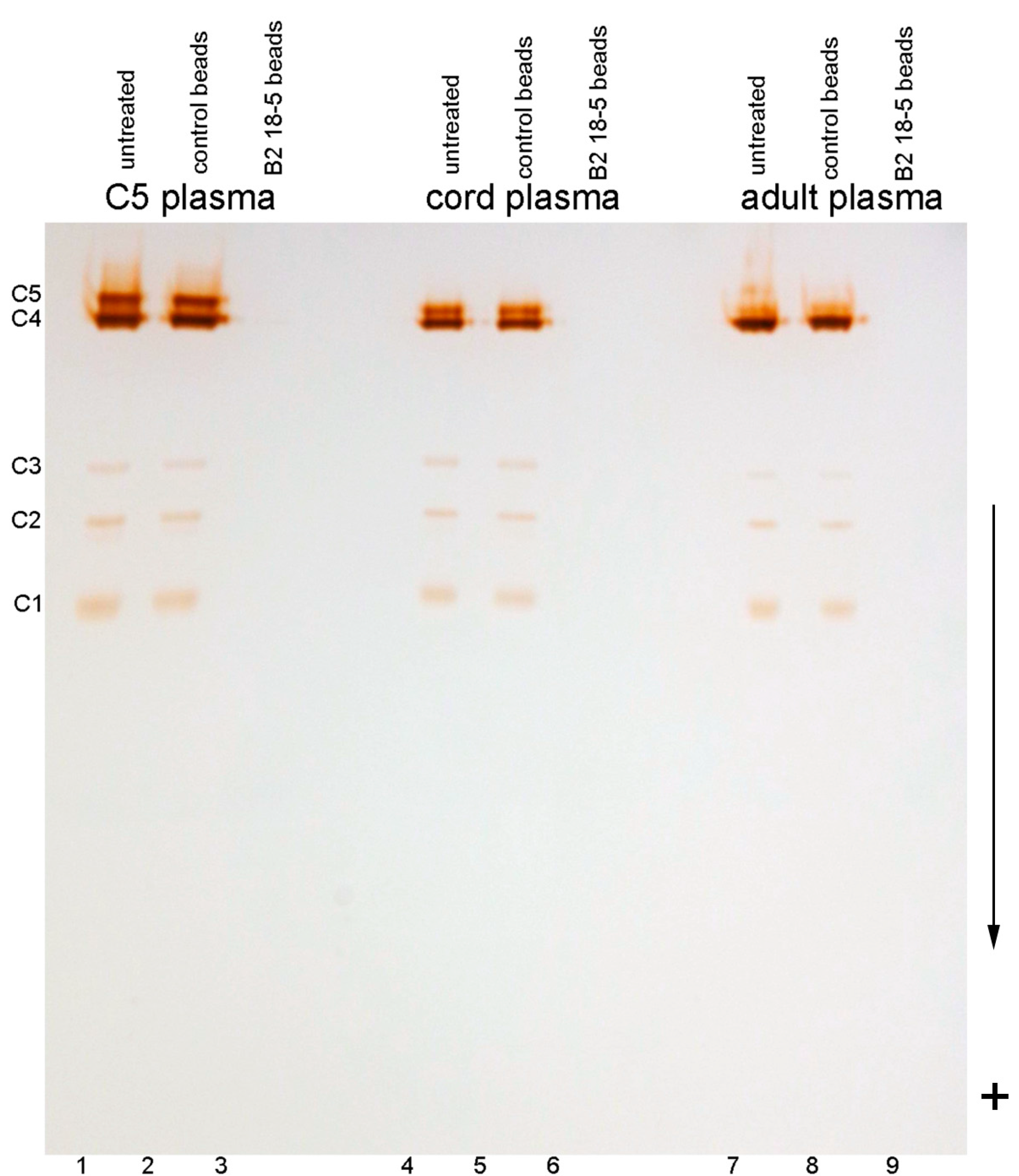 Molecules 22 01083 g001