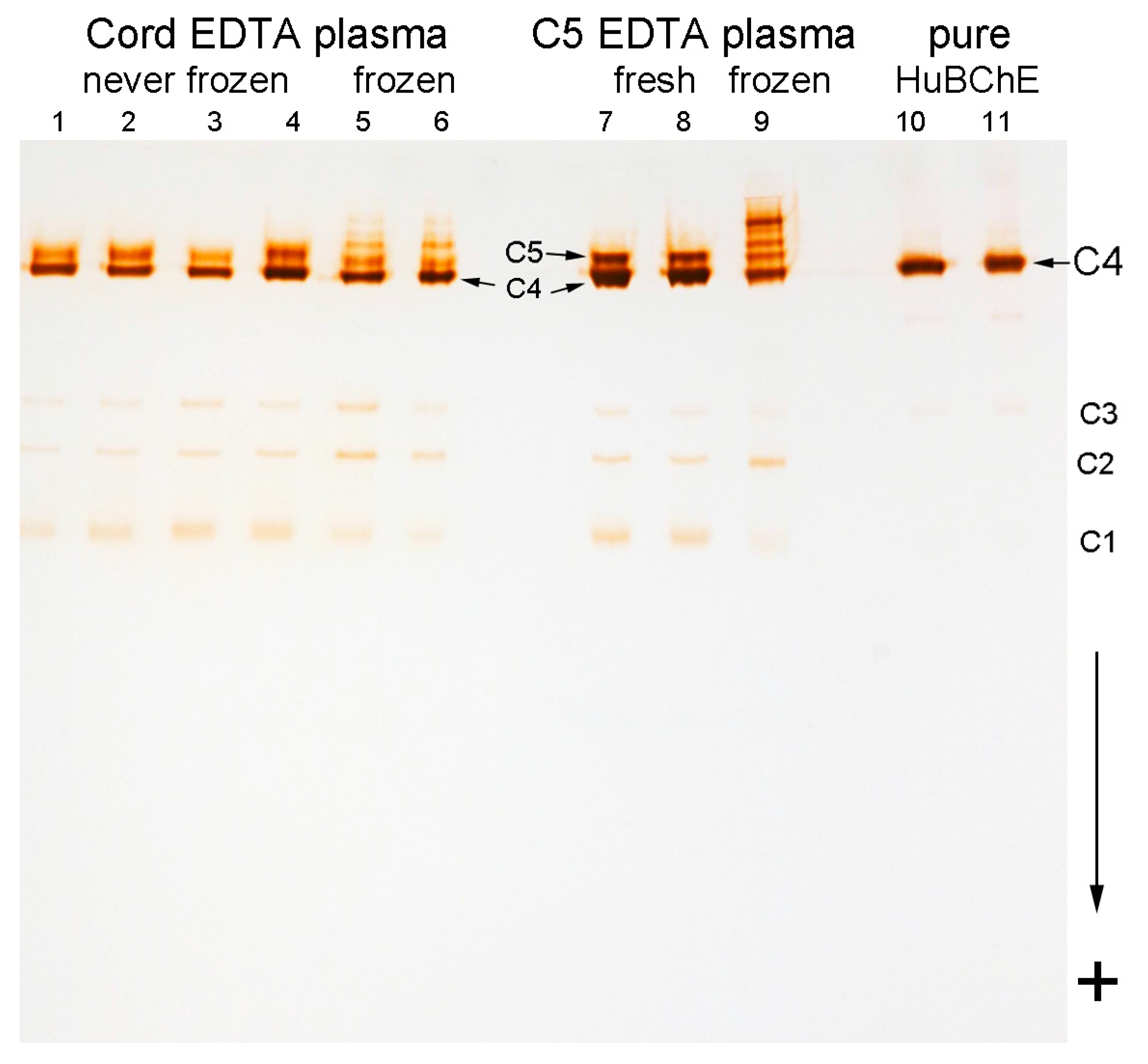 Molecules 22 01083 g002