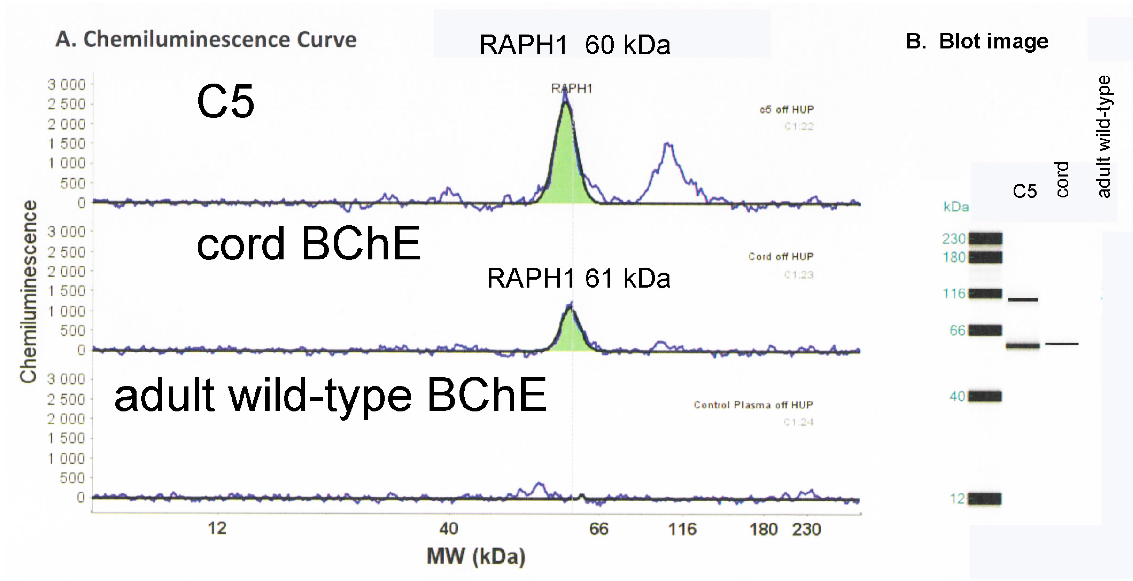Molecules 22 01083 g004