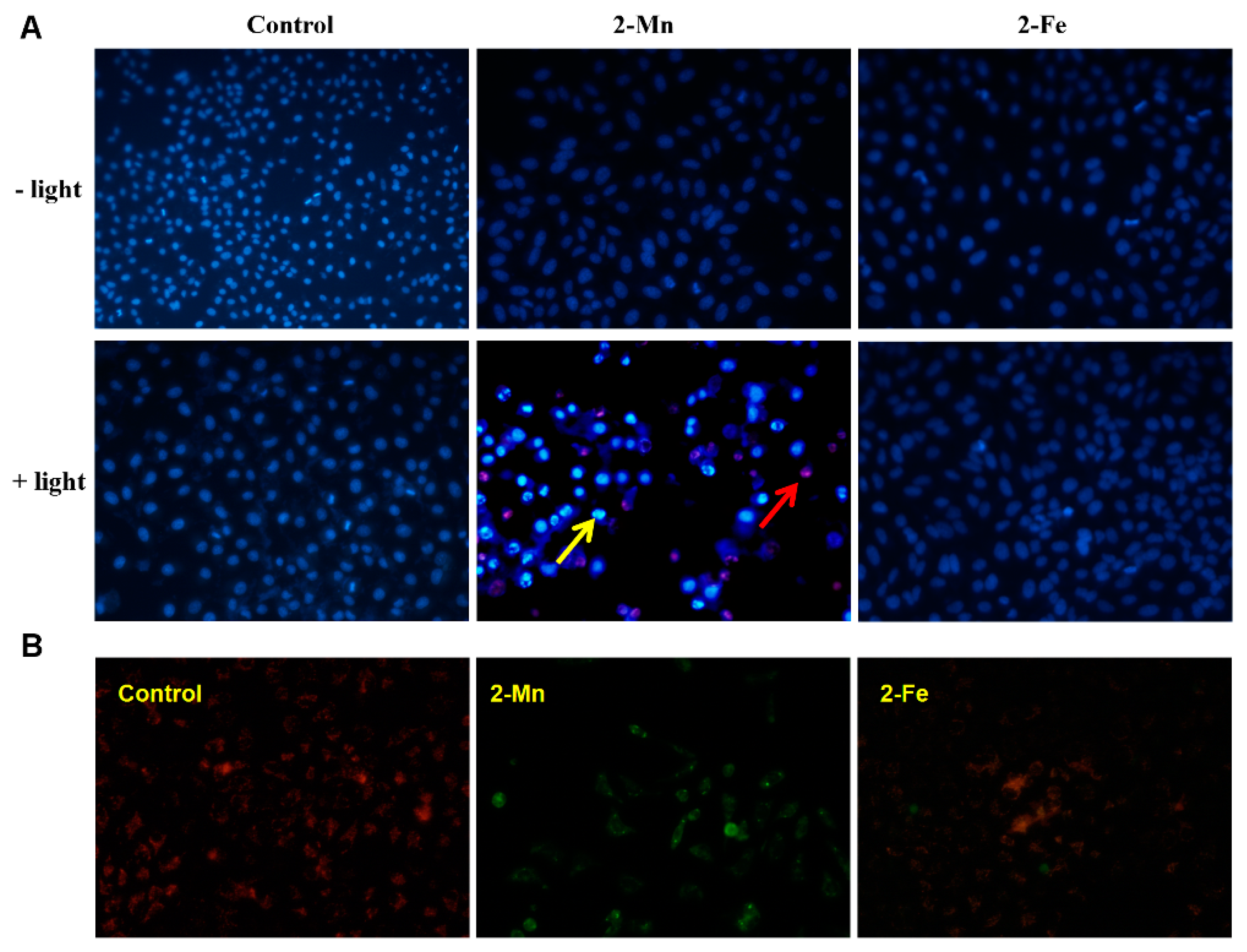 Molecules 22 01084 g009