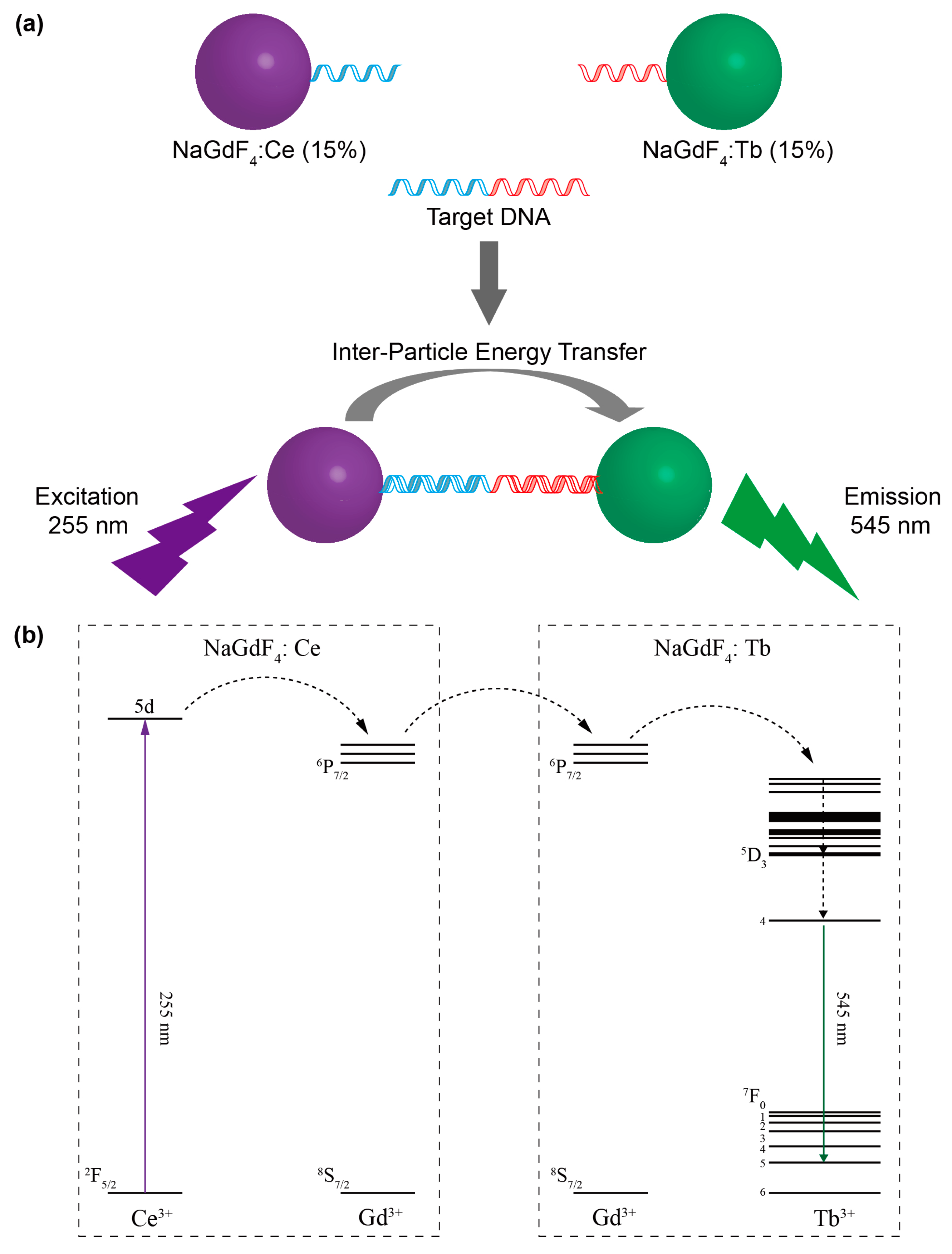 Molecules 22 01085 g001