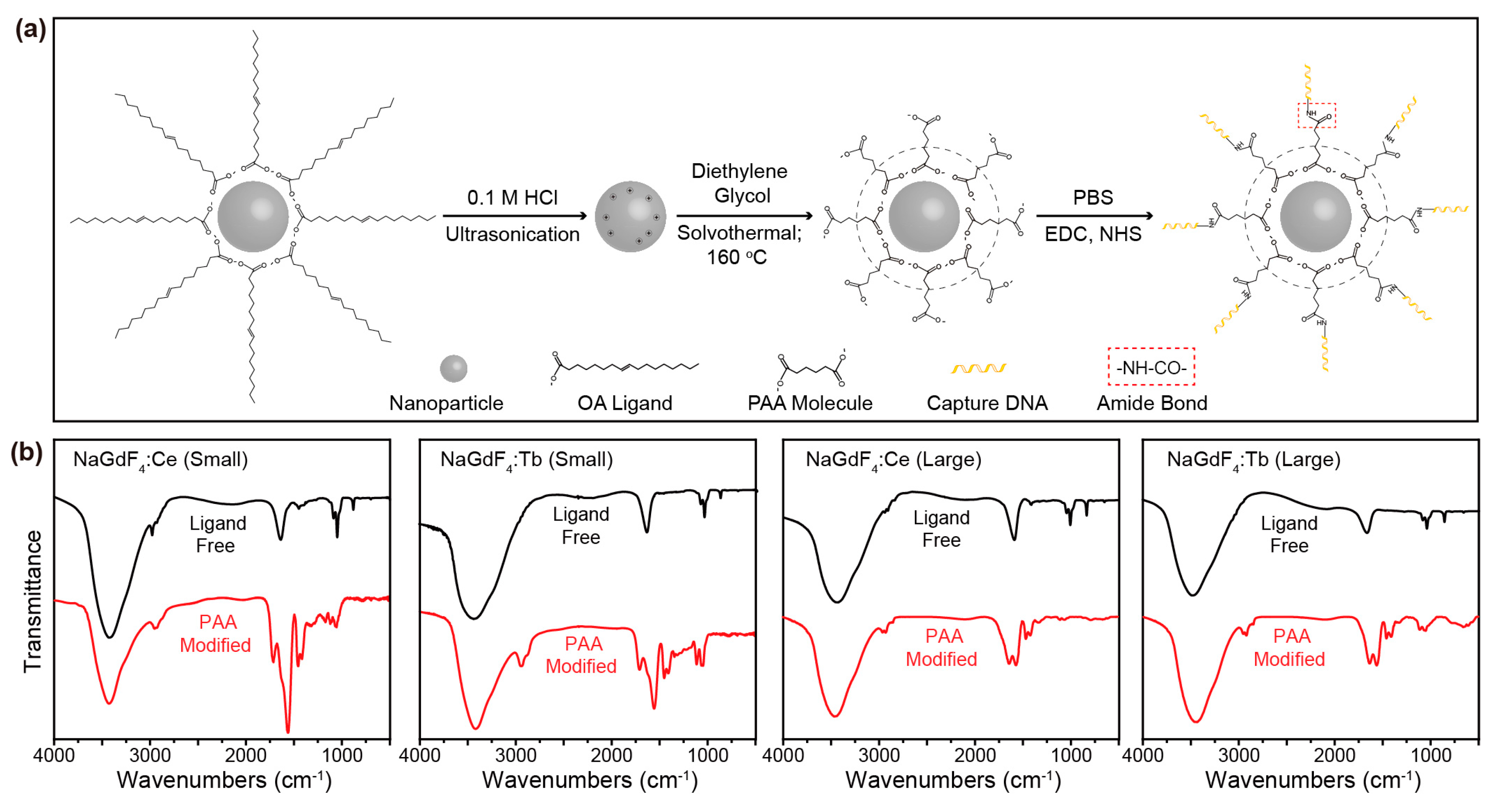 Molecules 22 01085 g004