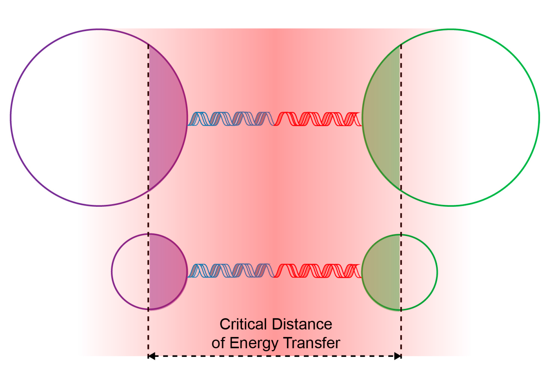 Molecules 22 01085 g006