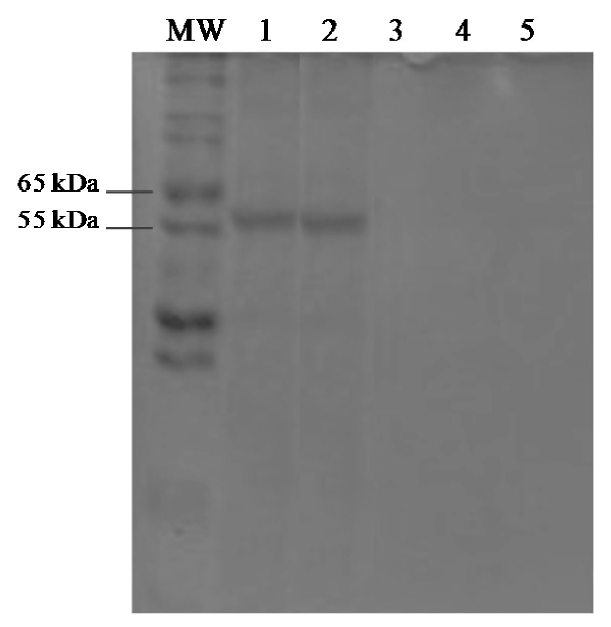 Molecules 22 01088 g003