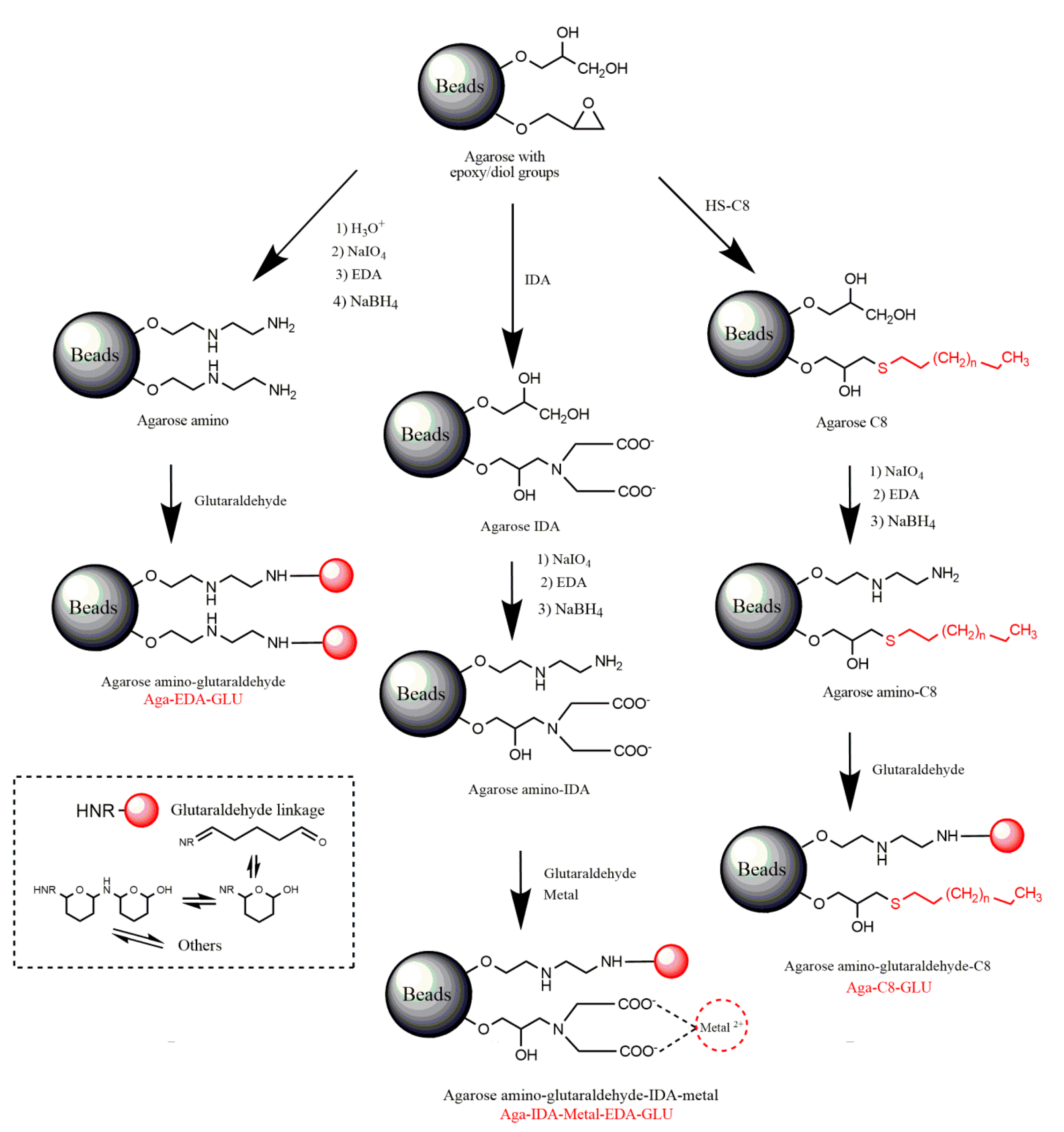 Molecules 22 01088 sch001