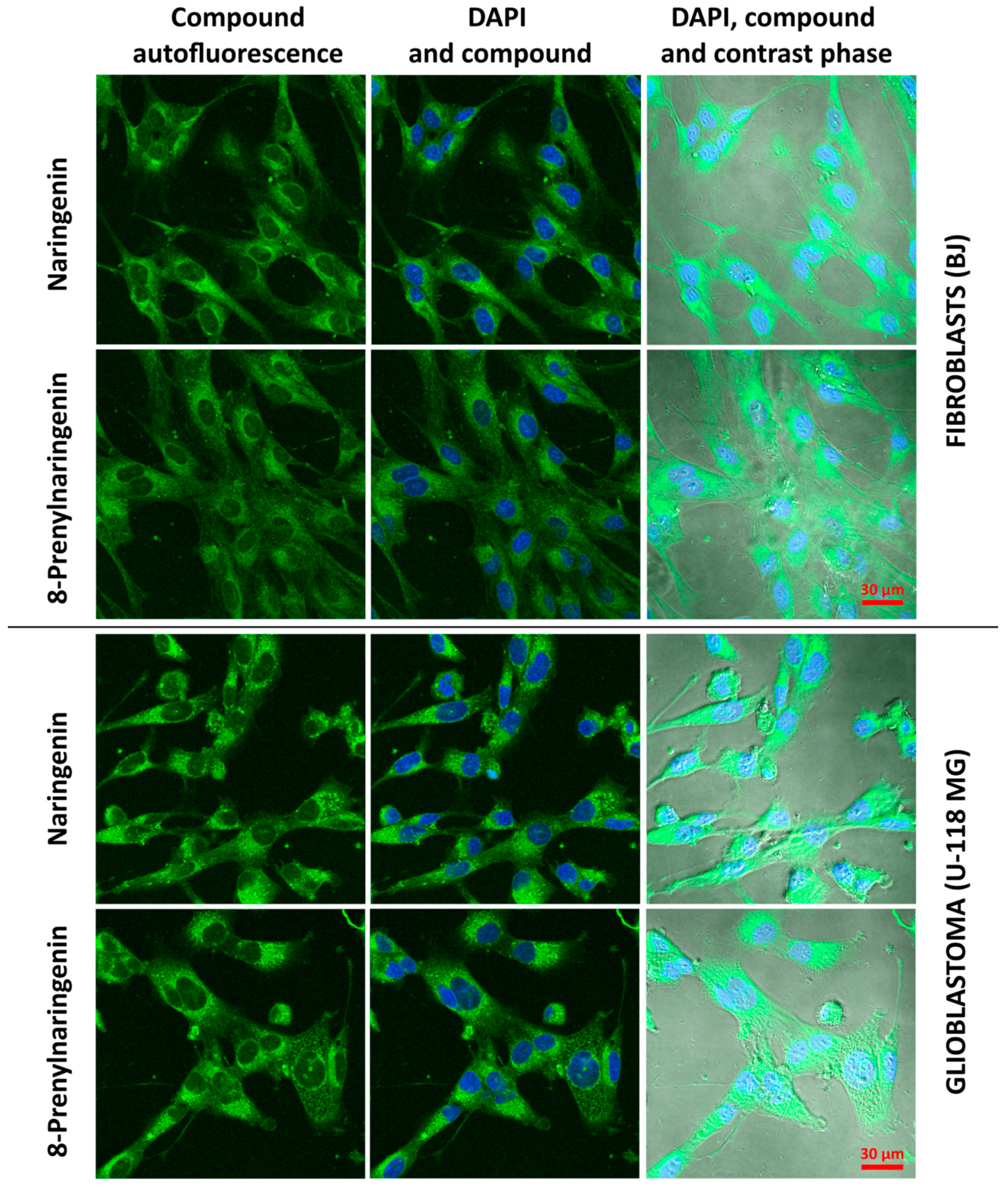 Molecules 22 01092 g003