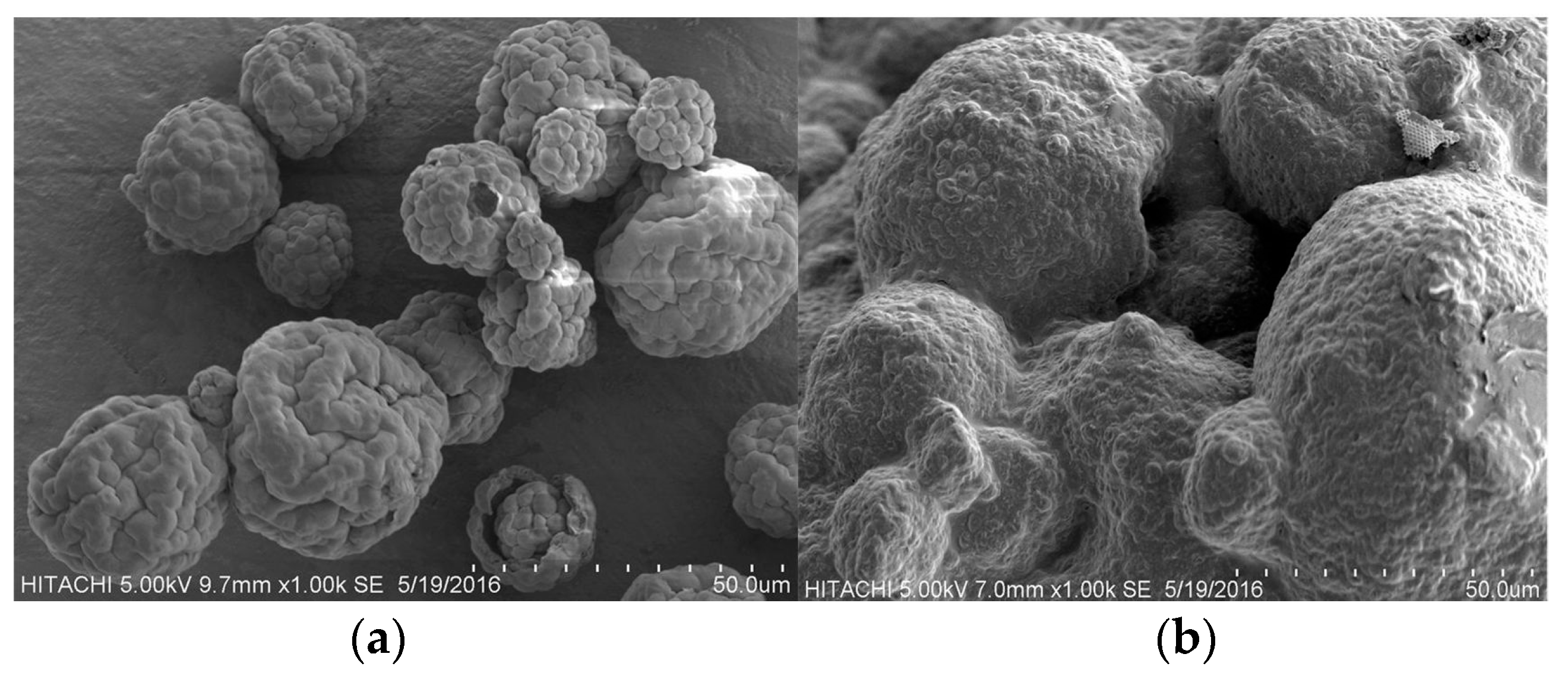 Molecules 22 01105 g002