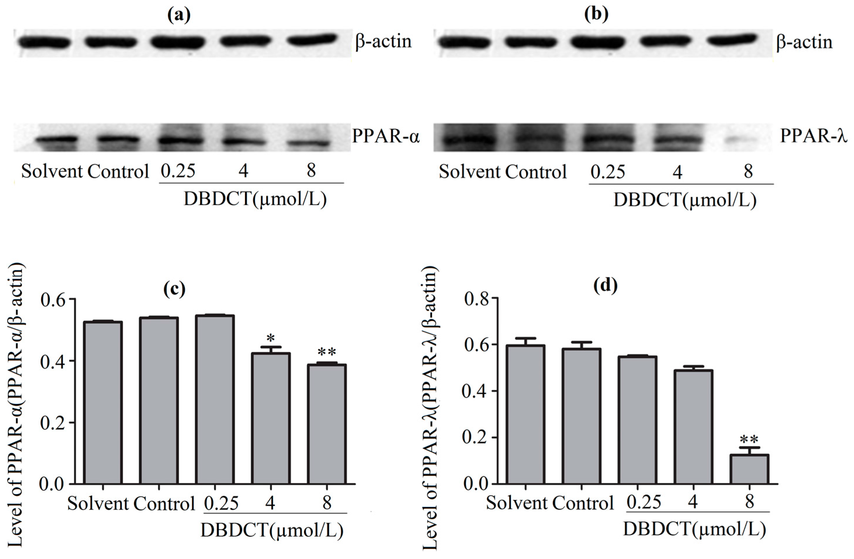 Molecules 22 01113 g006