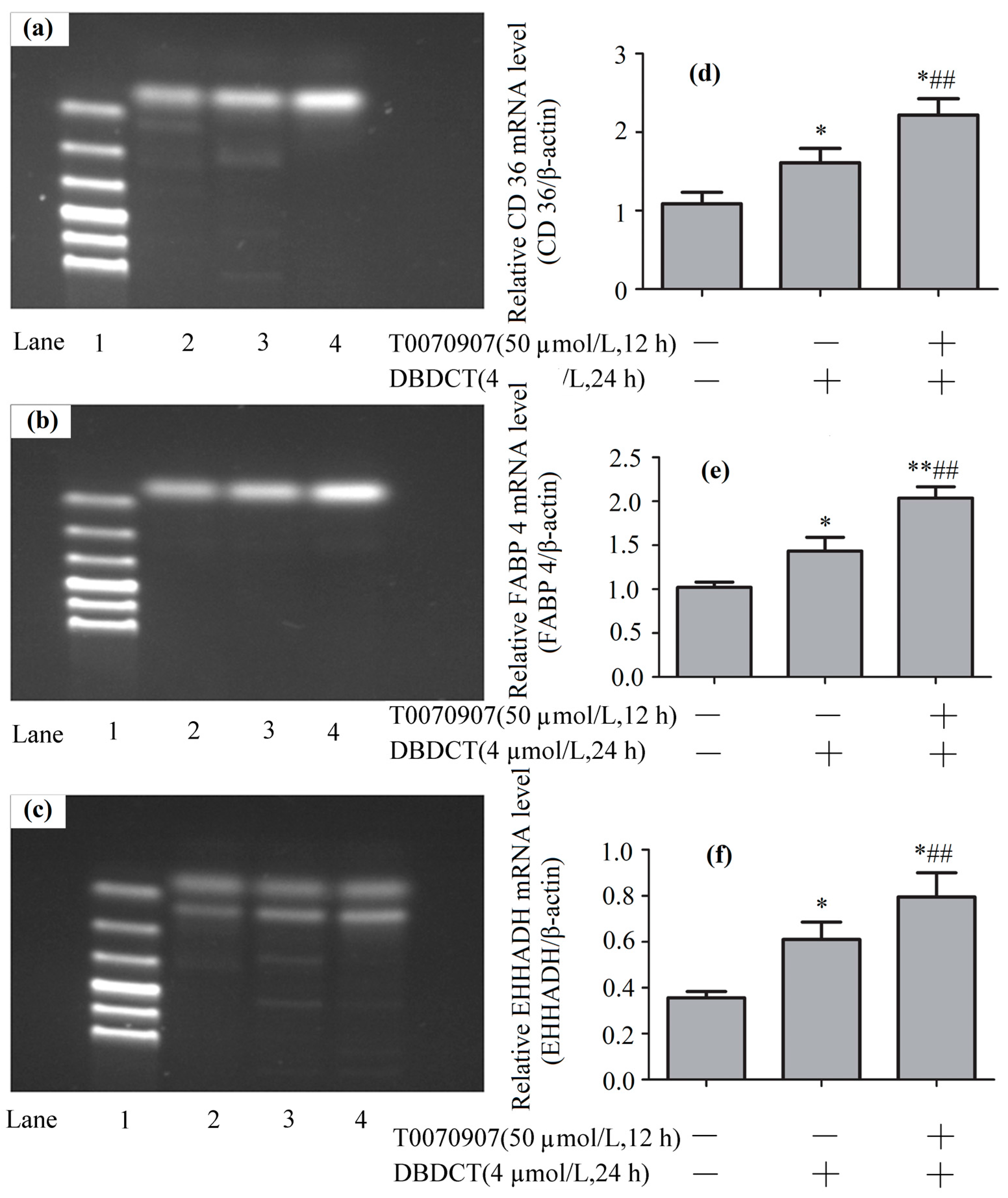 Molecules 22 01113 g009