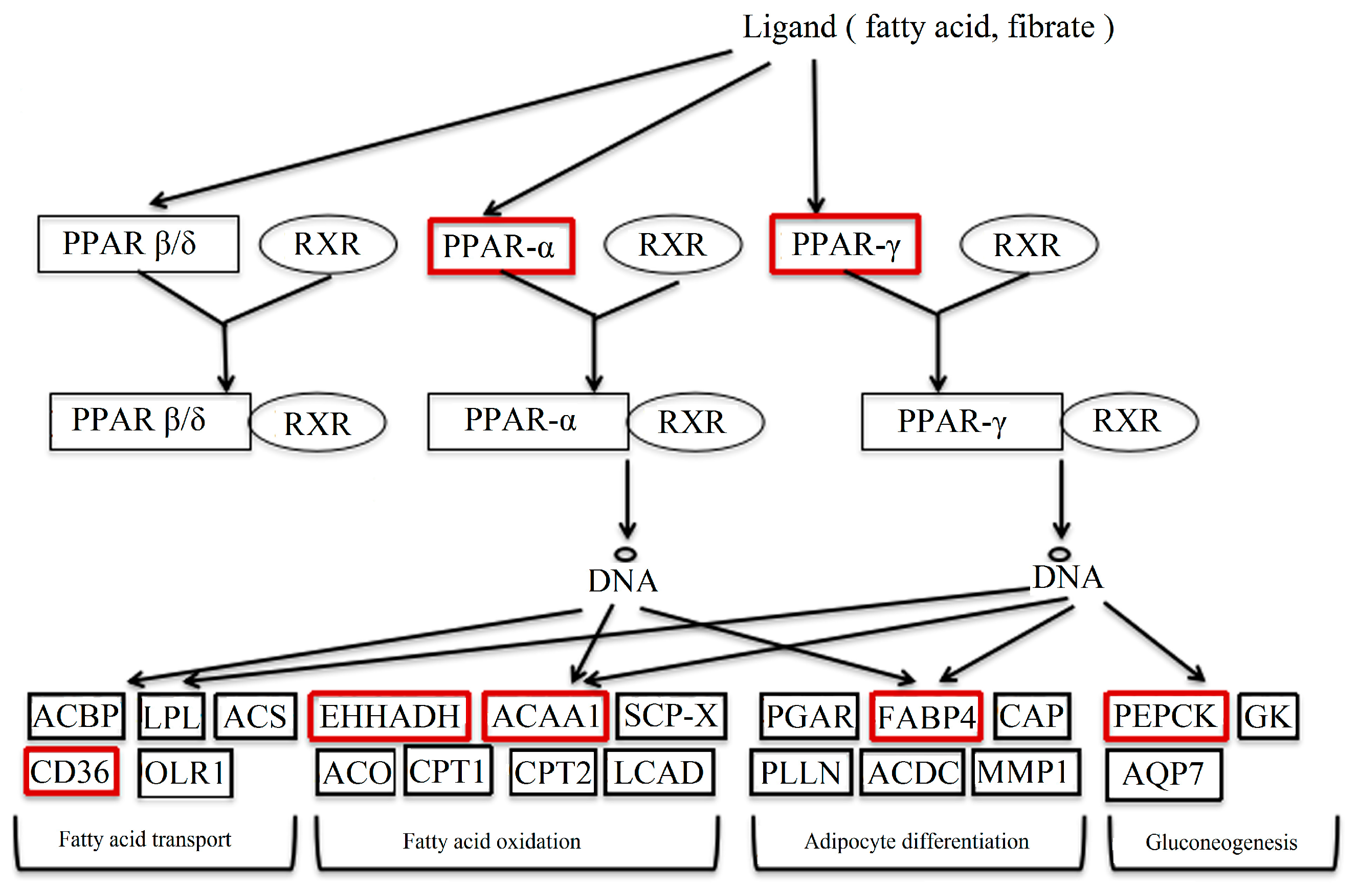 Molecules 22 01113 g010