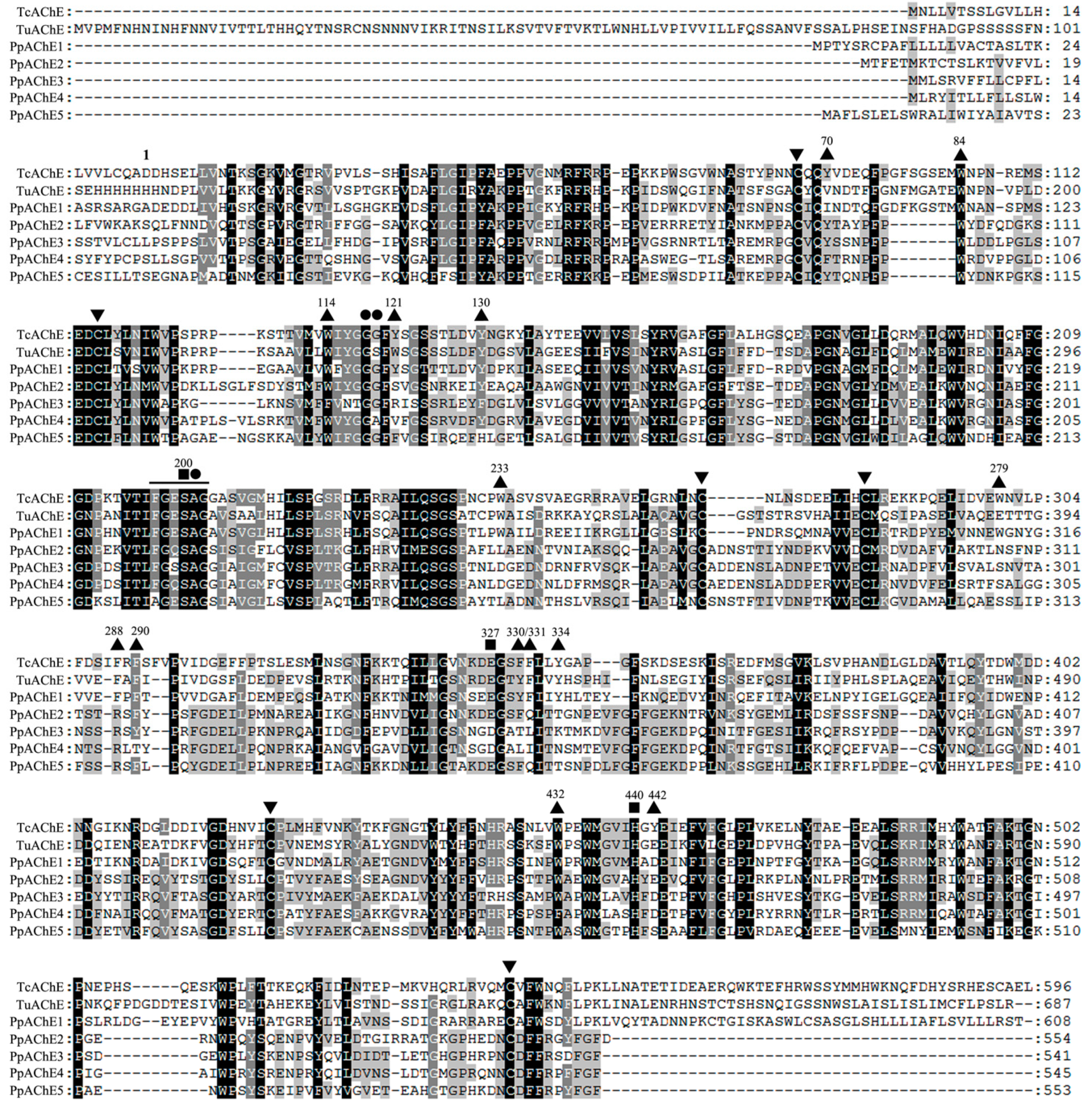 Molecules 22 01118 g001
