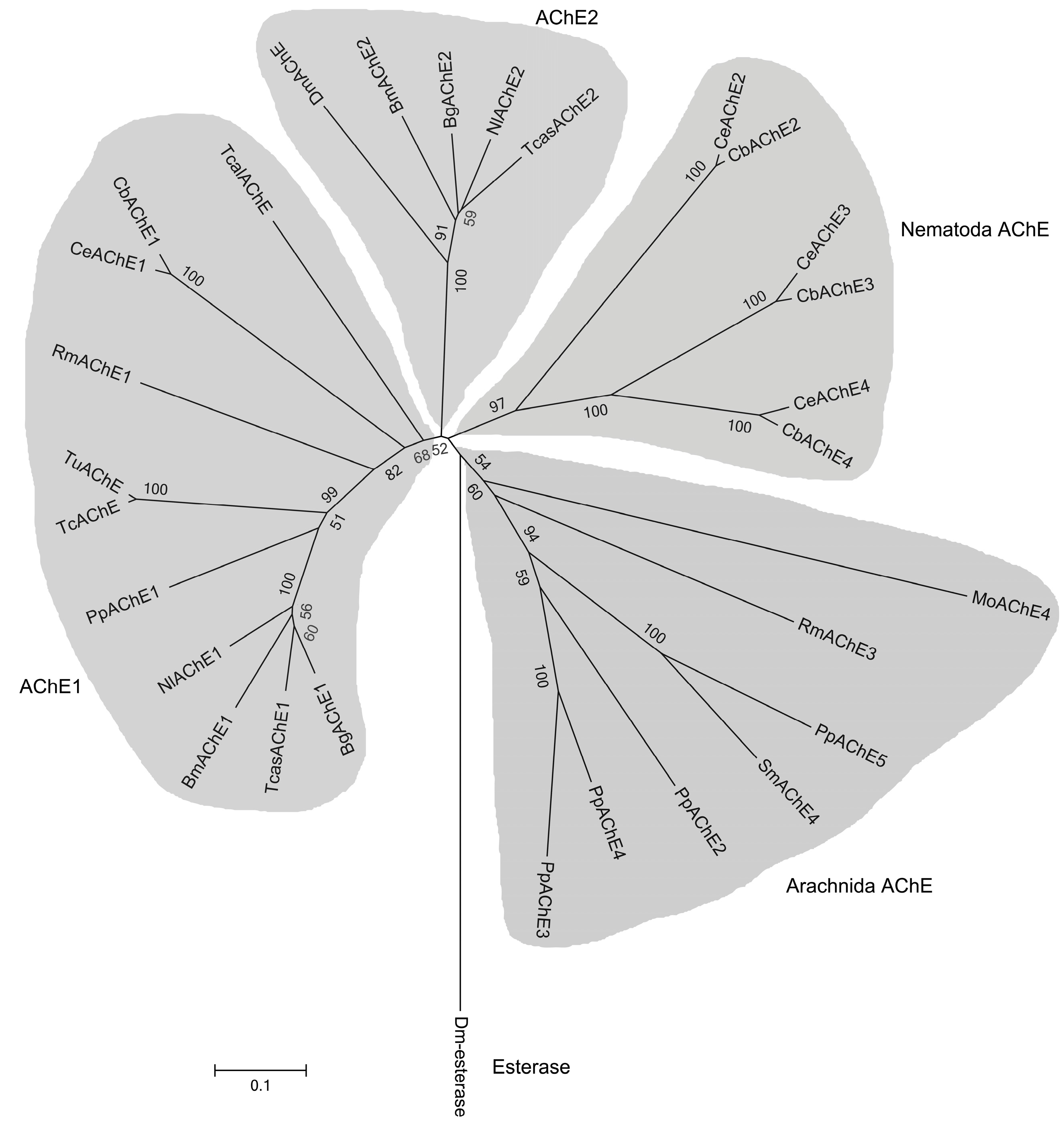 Molecules 22 01118 g002