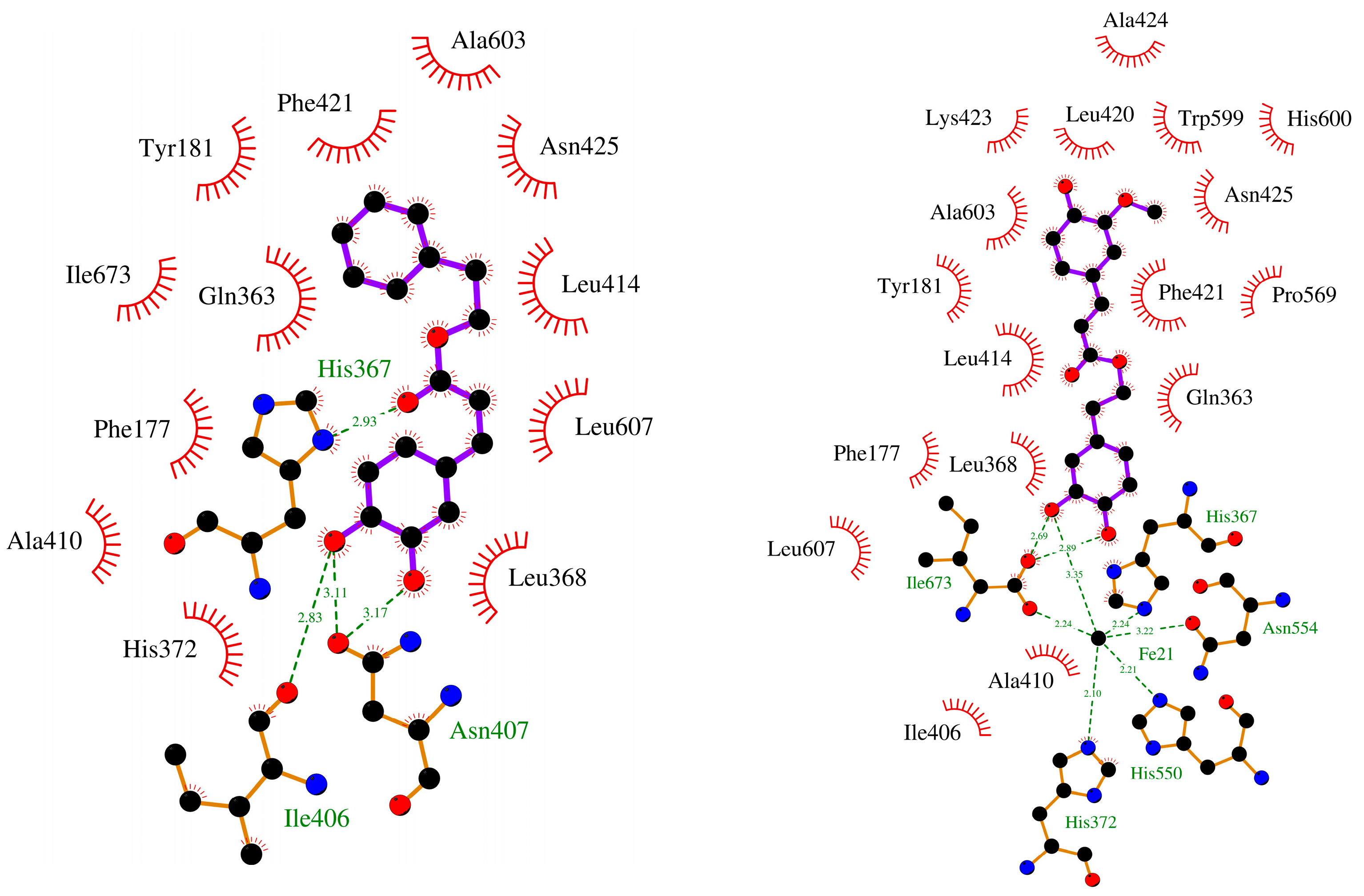 Molecules 22 01124 g005