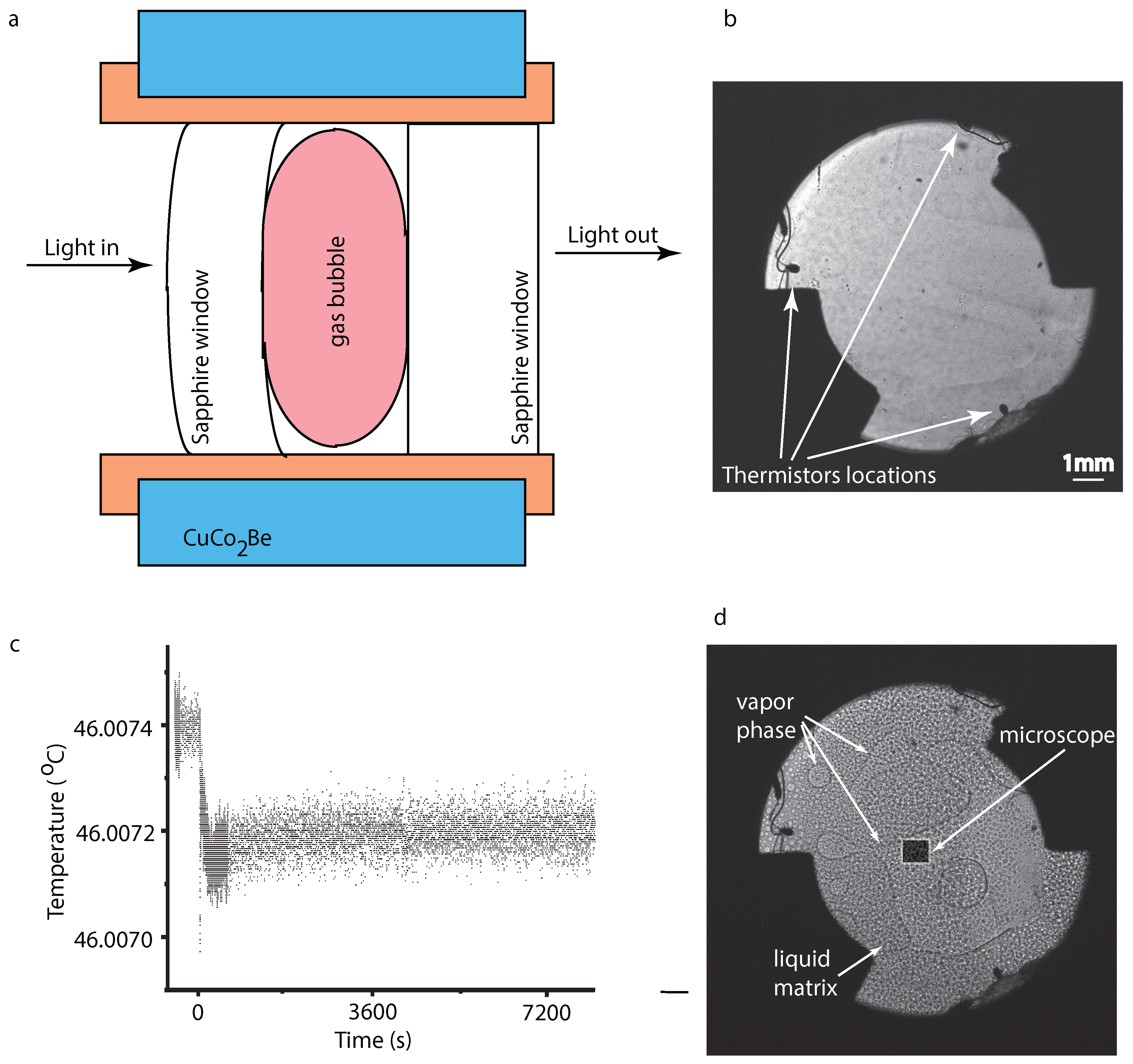 Molecules 22 01125 g001