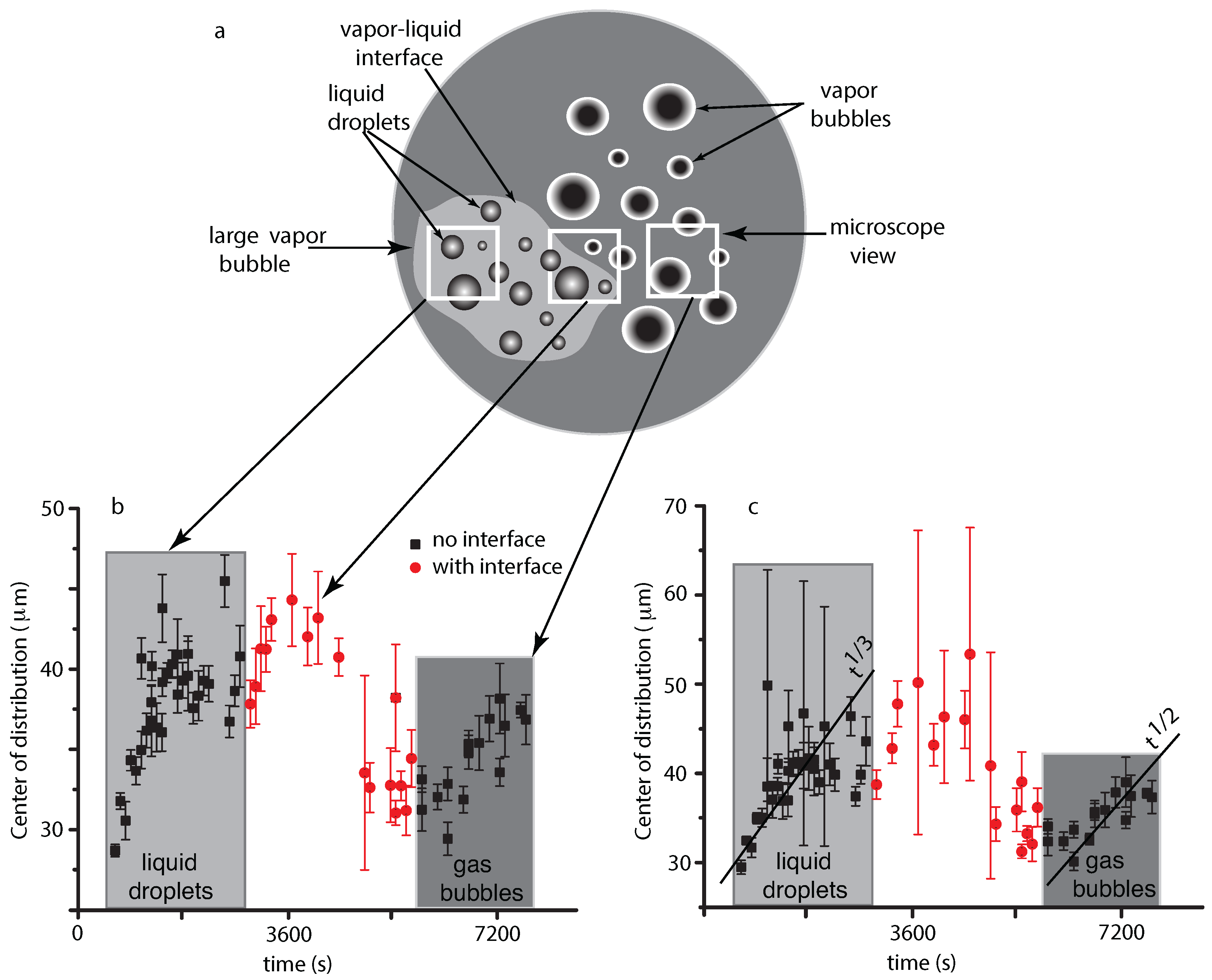 Molecules 22 01125 g004