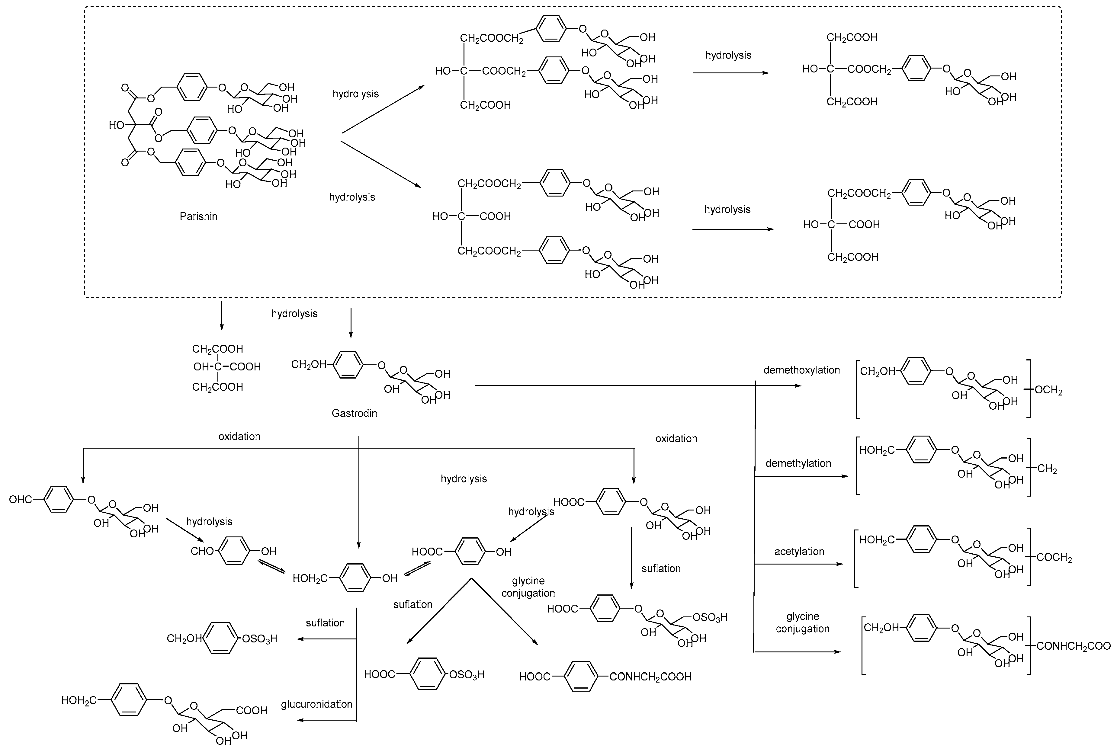 Molecules 22 01137 sch001
