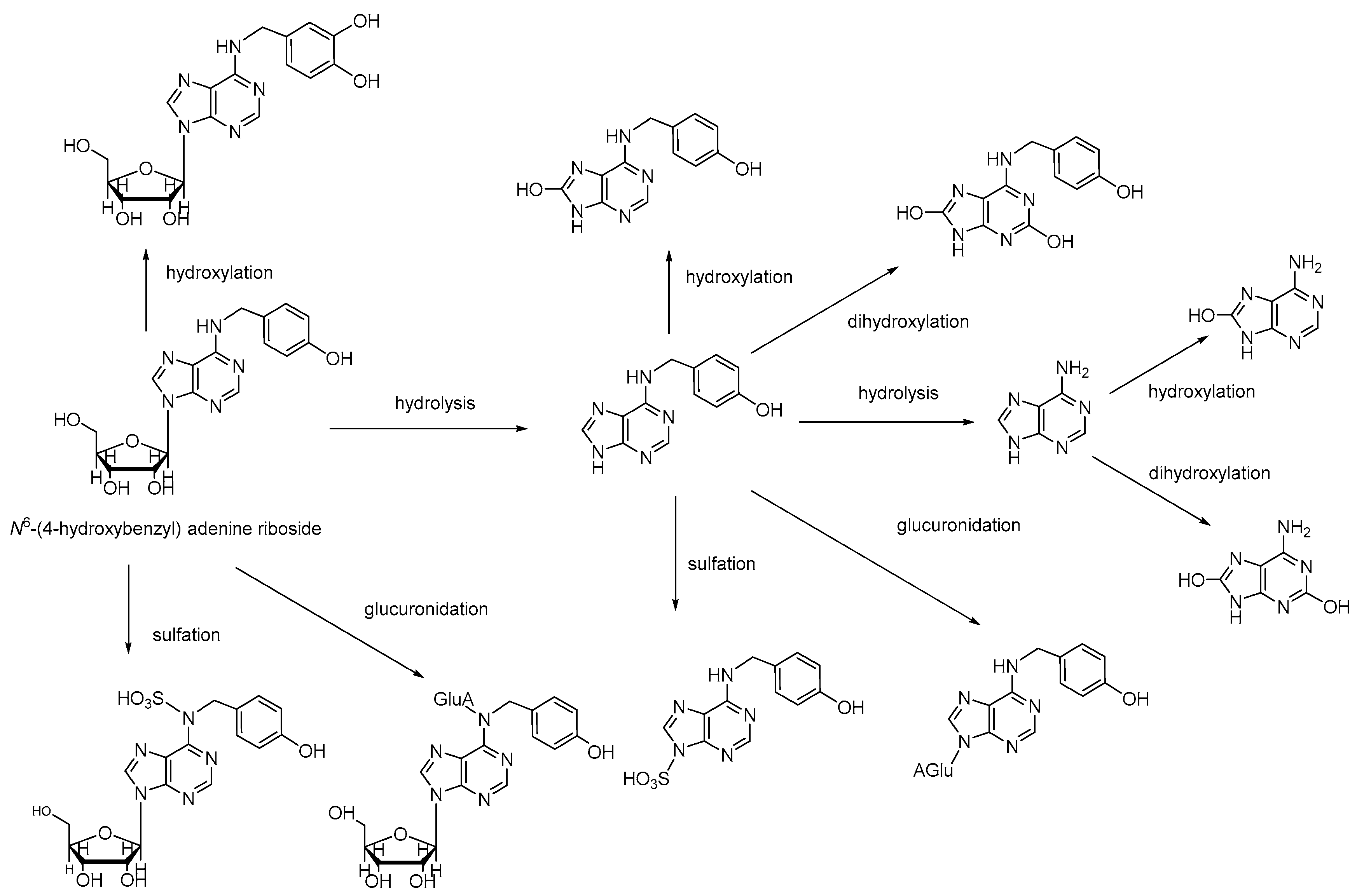 Molecules 22 01137 sch002