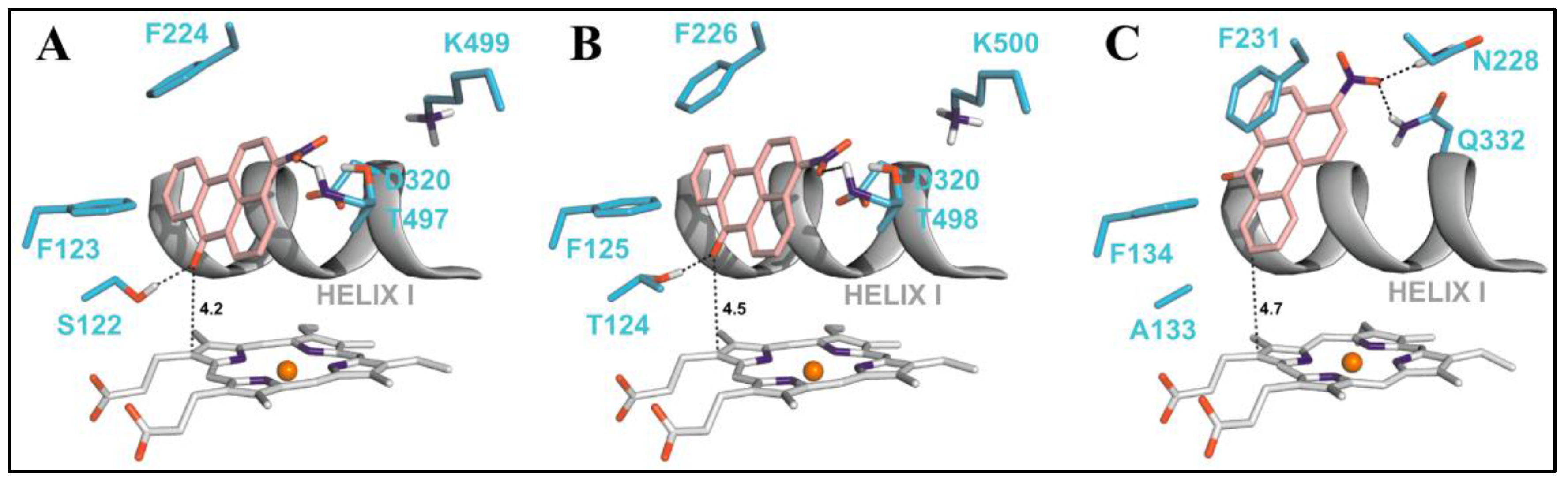 Molecules 22 01143 g008