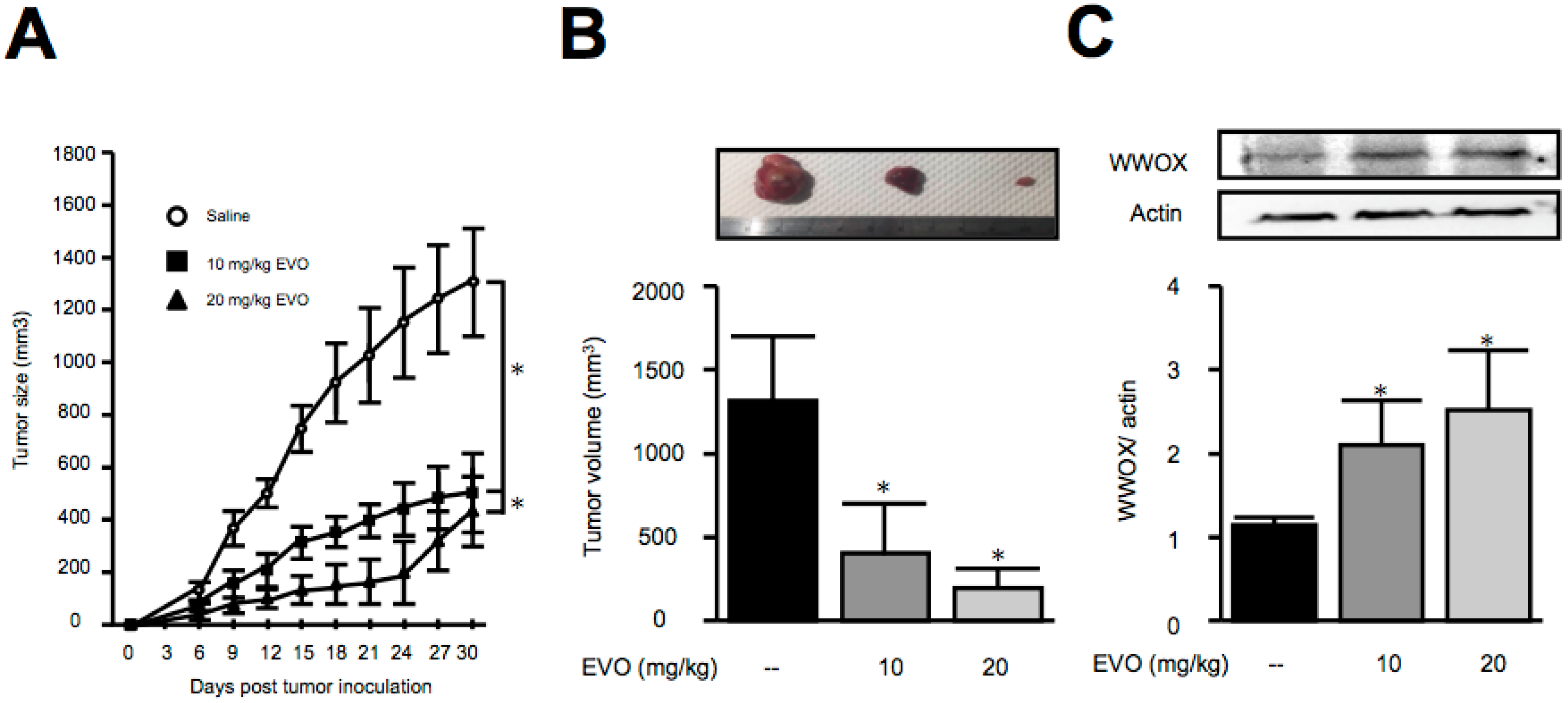 Molecules 22 01175 g003