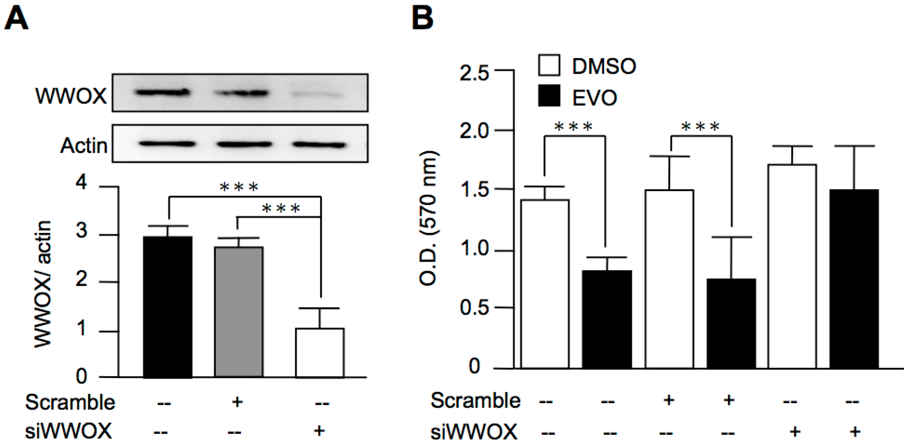 Molecules 22 01175 g005