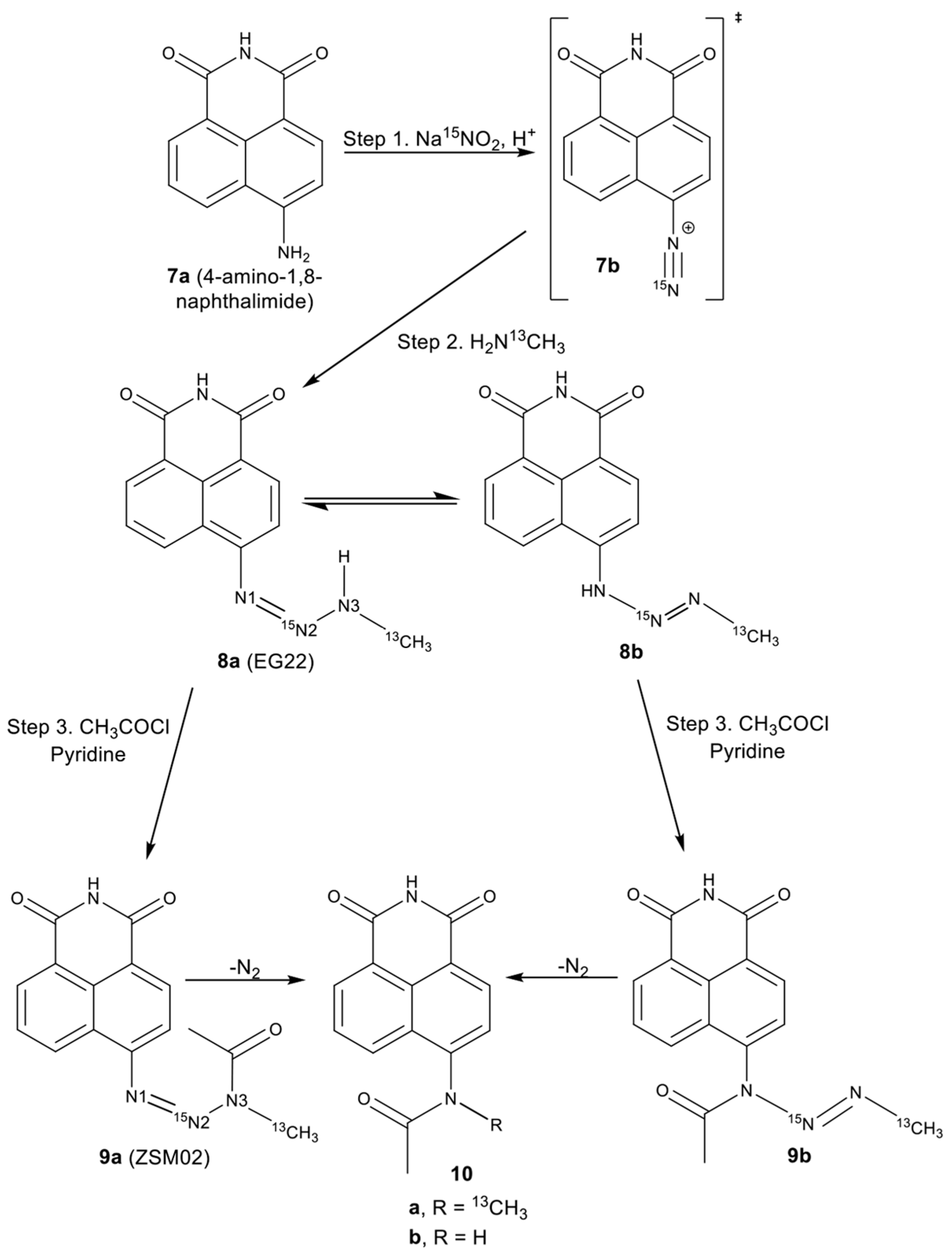 Molecules 22 01183 sch002