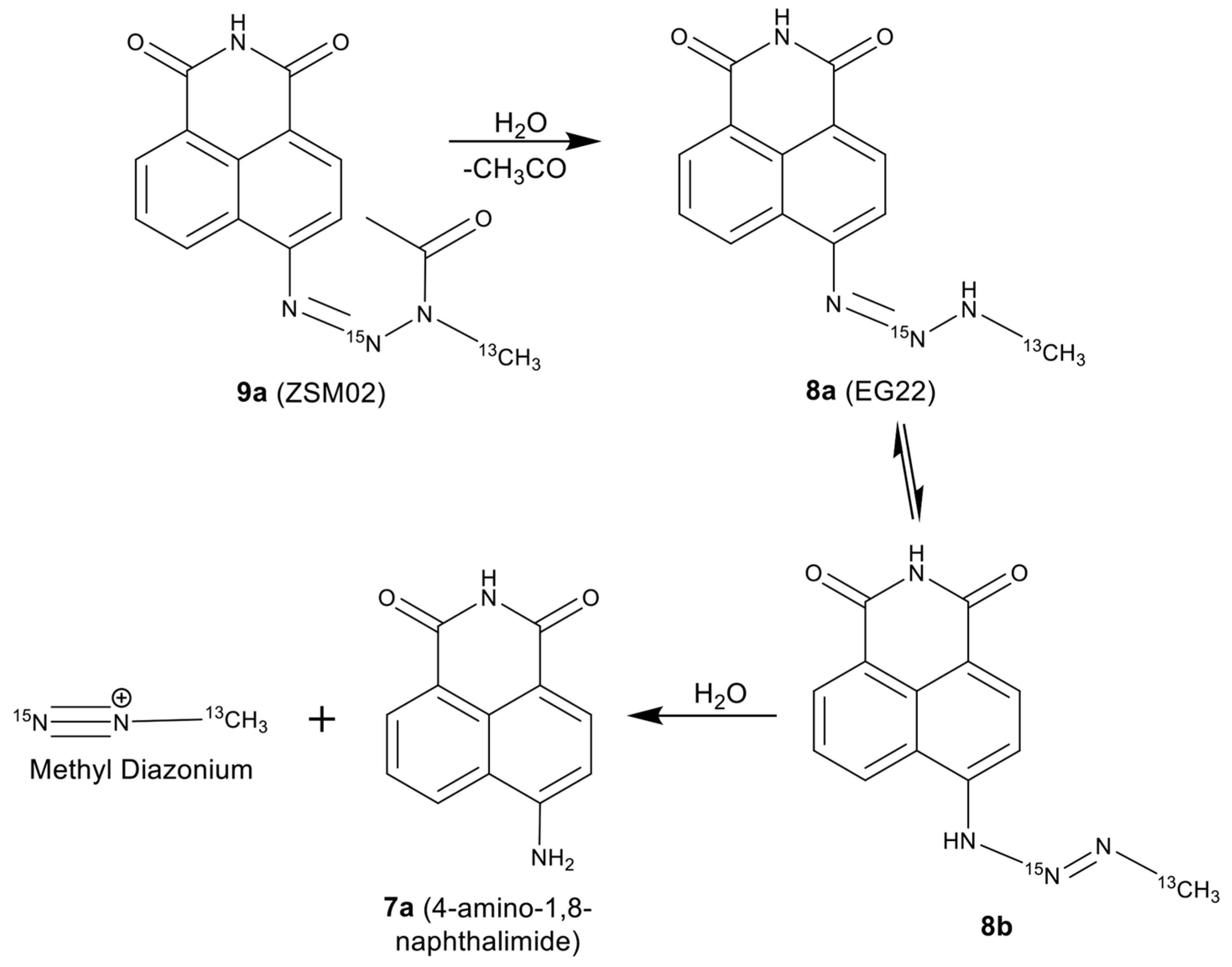 Molecules 22 01183 sch003