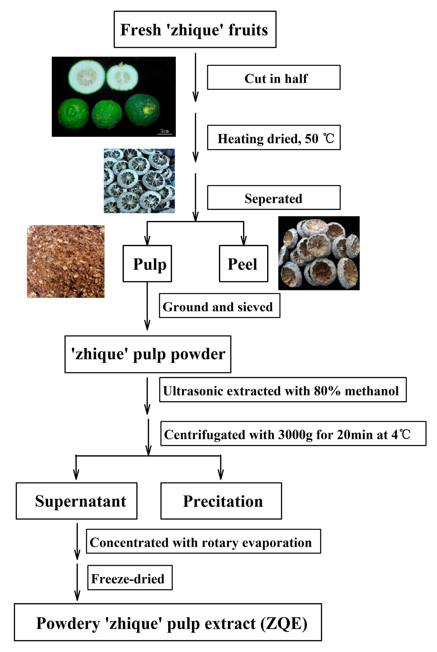 Molecules 22 01213 g001