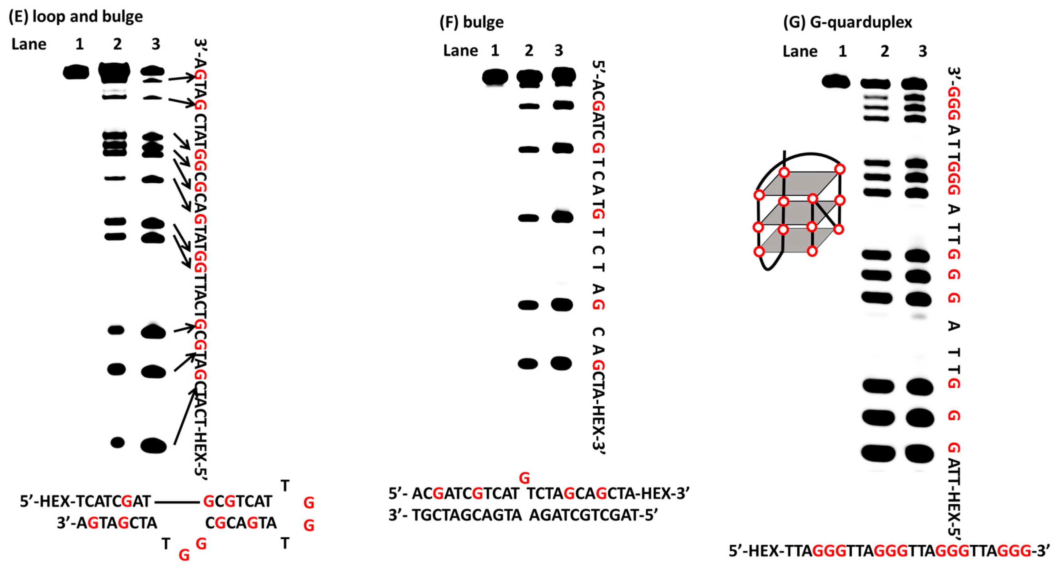 Molecules 22 01222 g002b