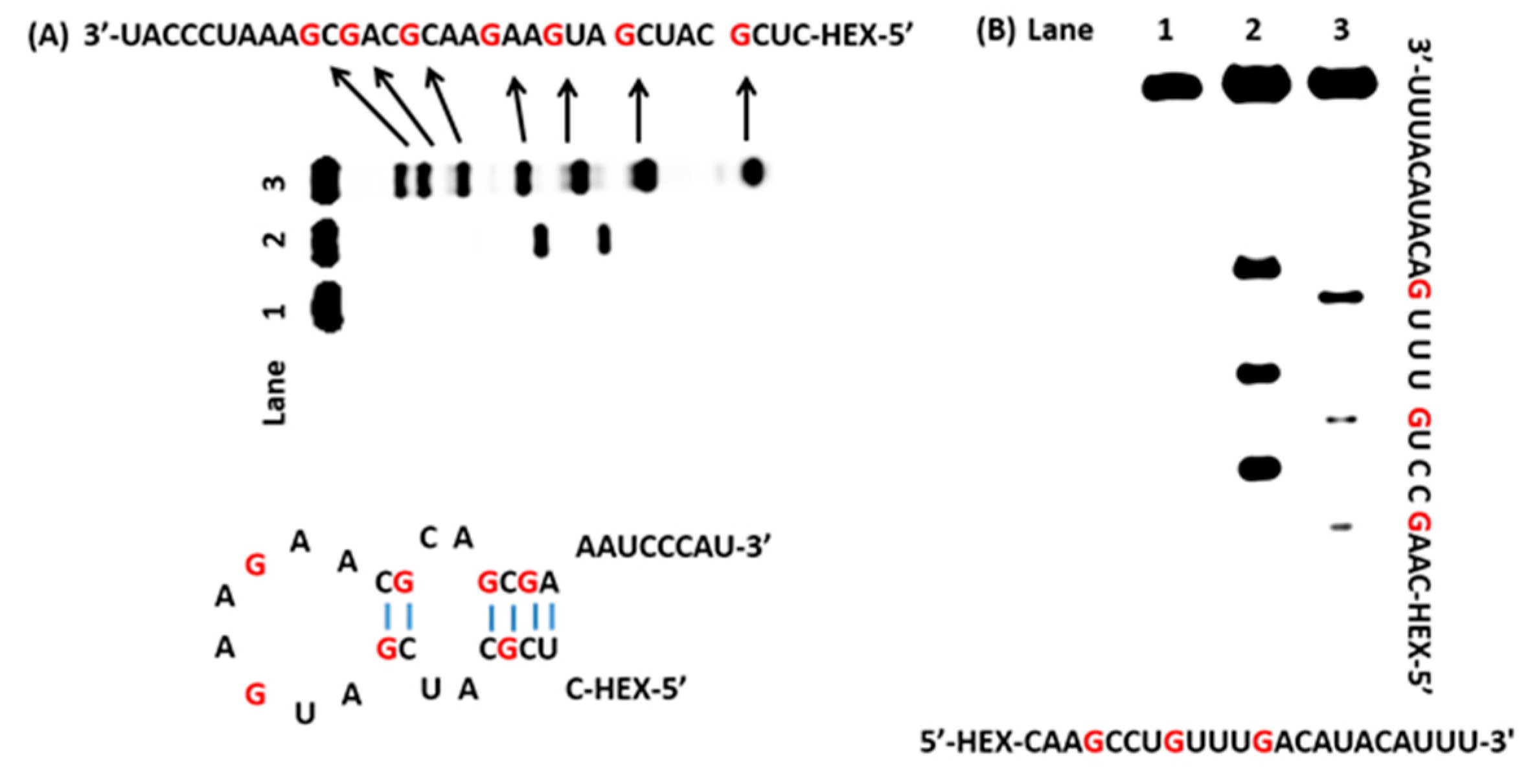 Molecules 22 01222 g004