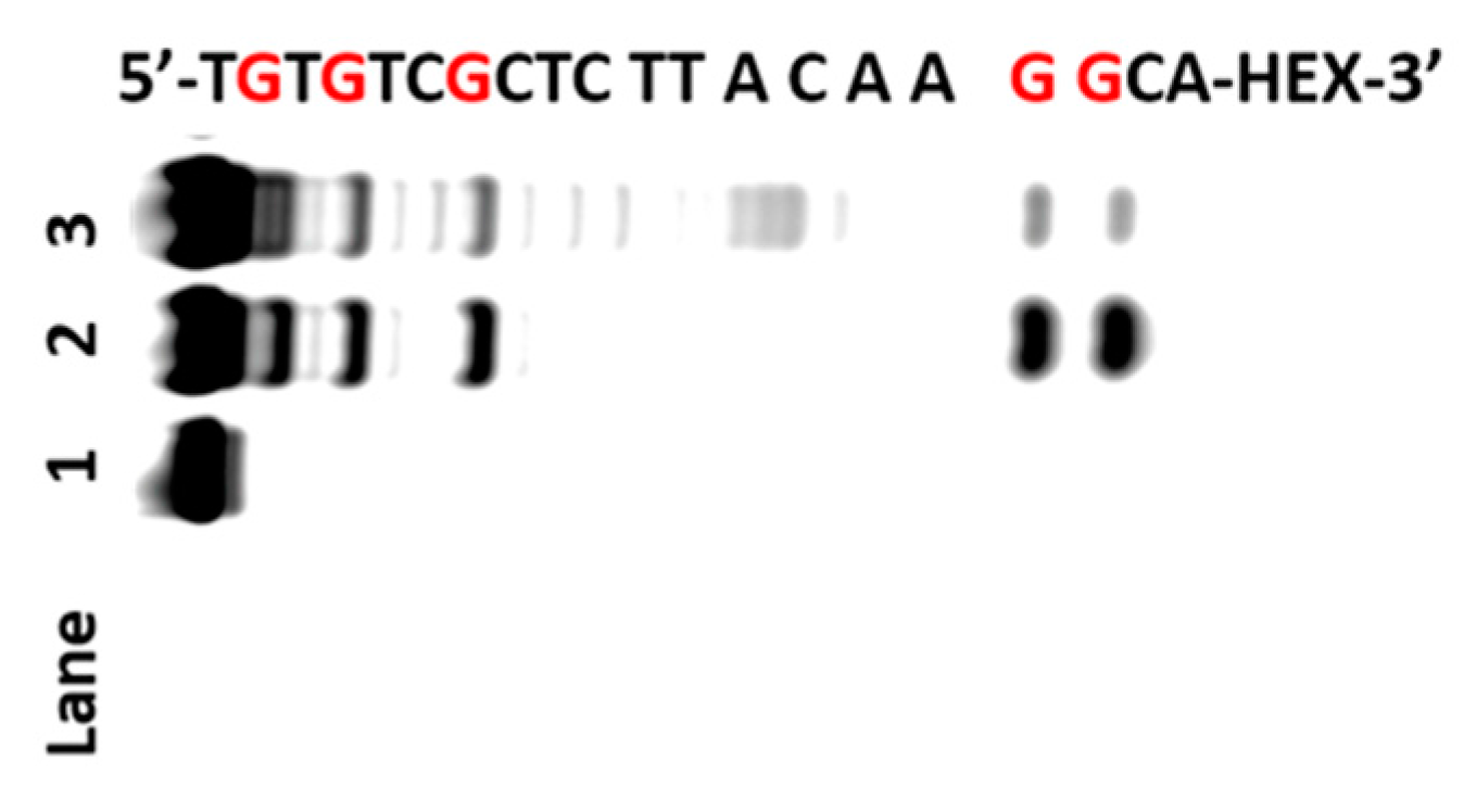 Molecules 22 01222 g005