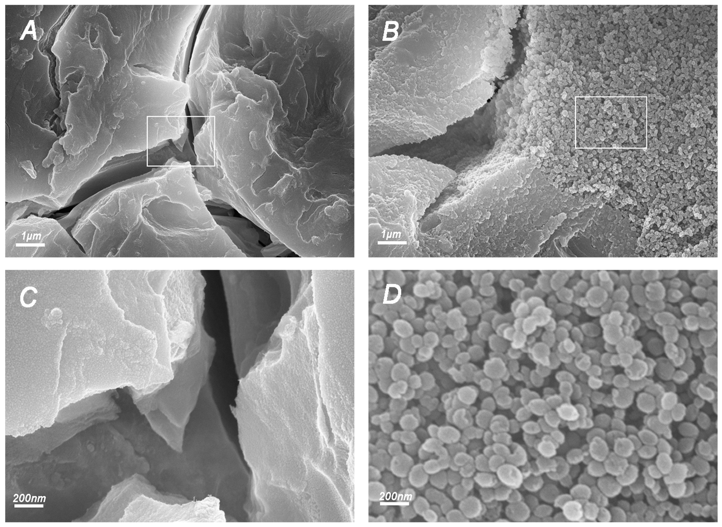 Molecules 22 01225 g006