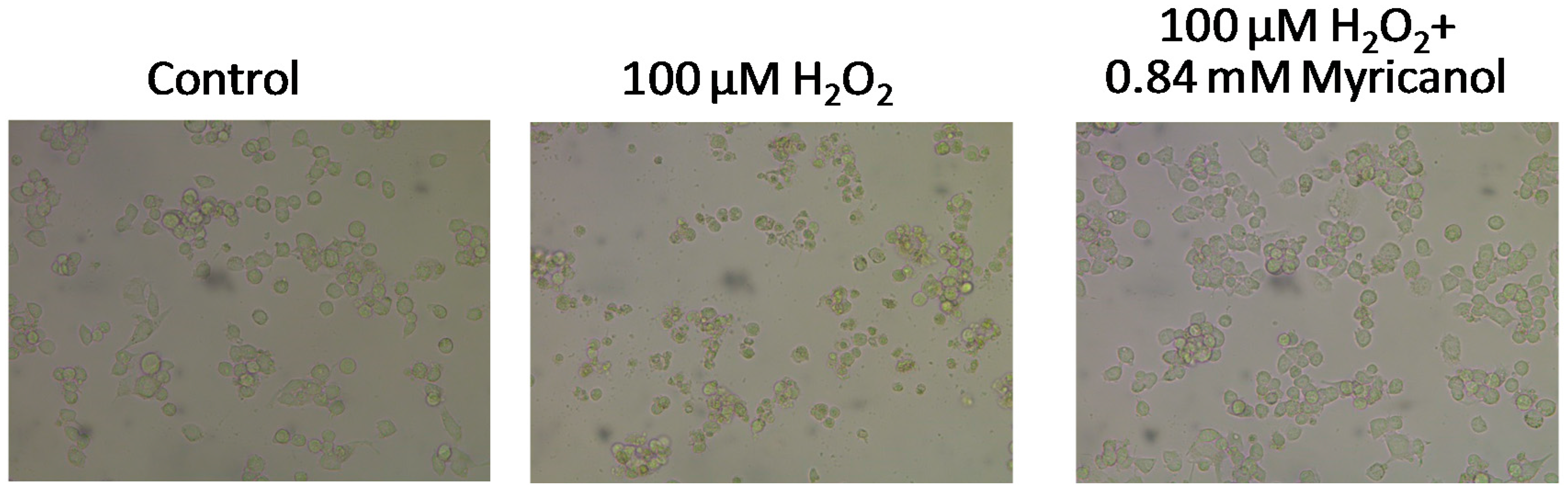 Molecules 22 01226 g006
