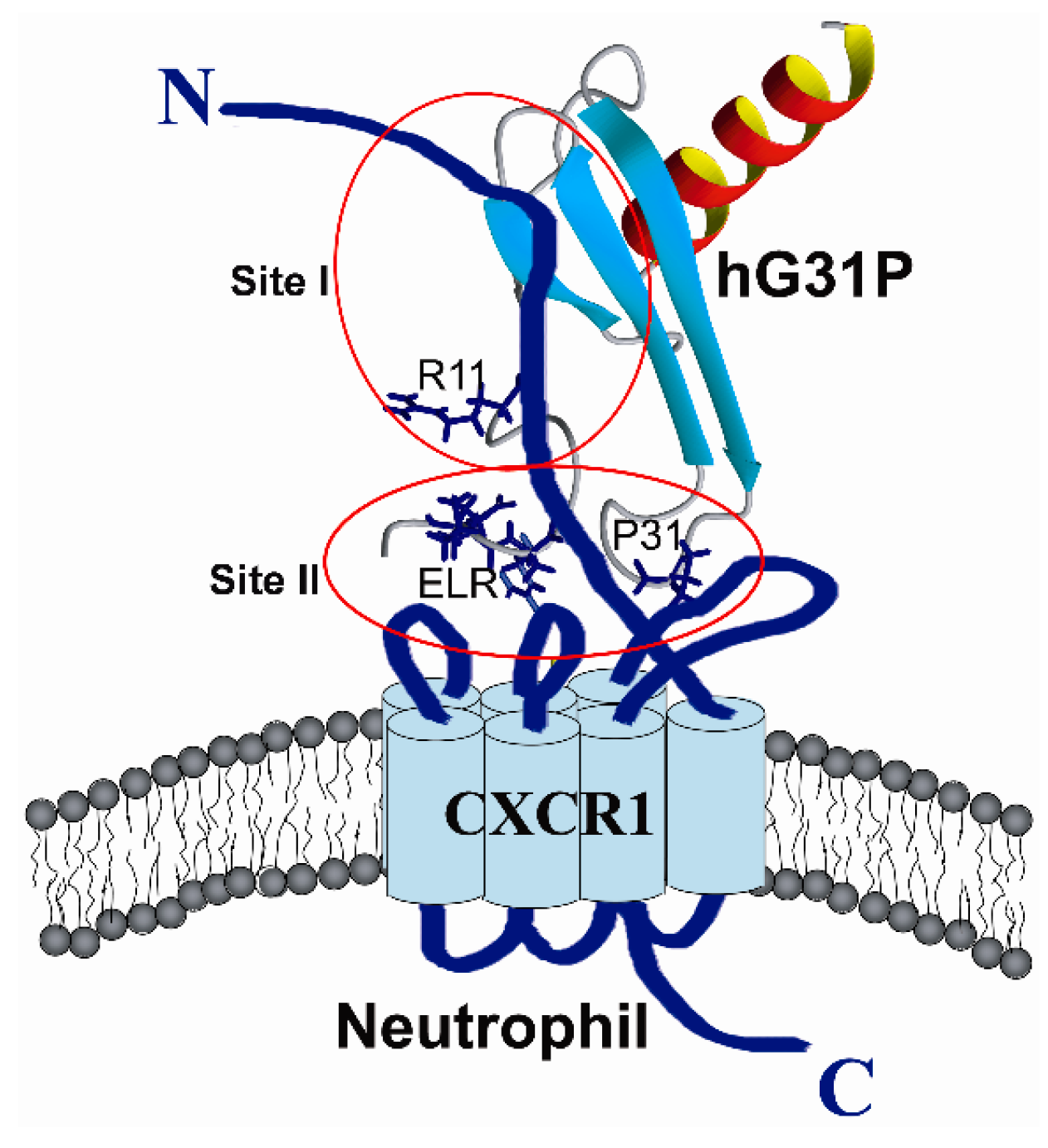 Molecules 22 01229 g006
