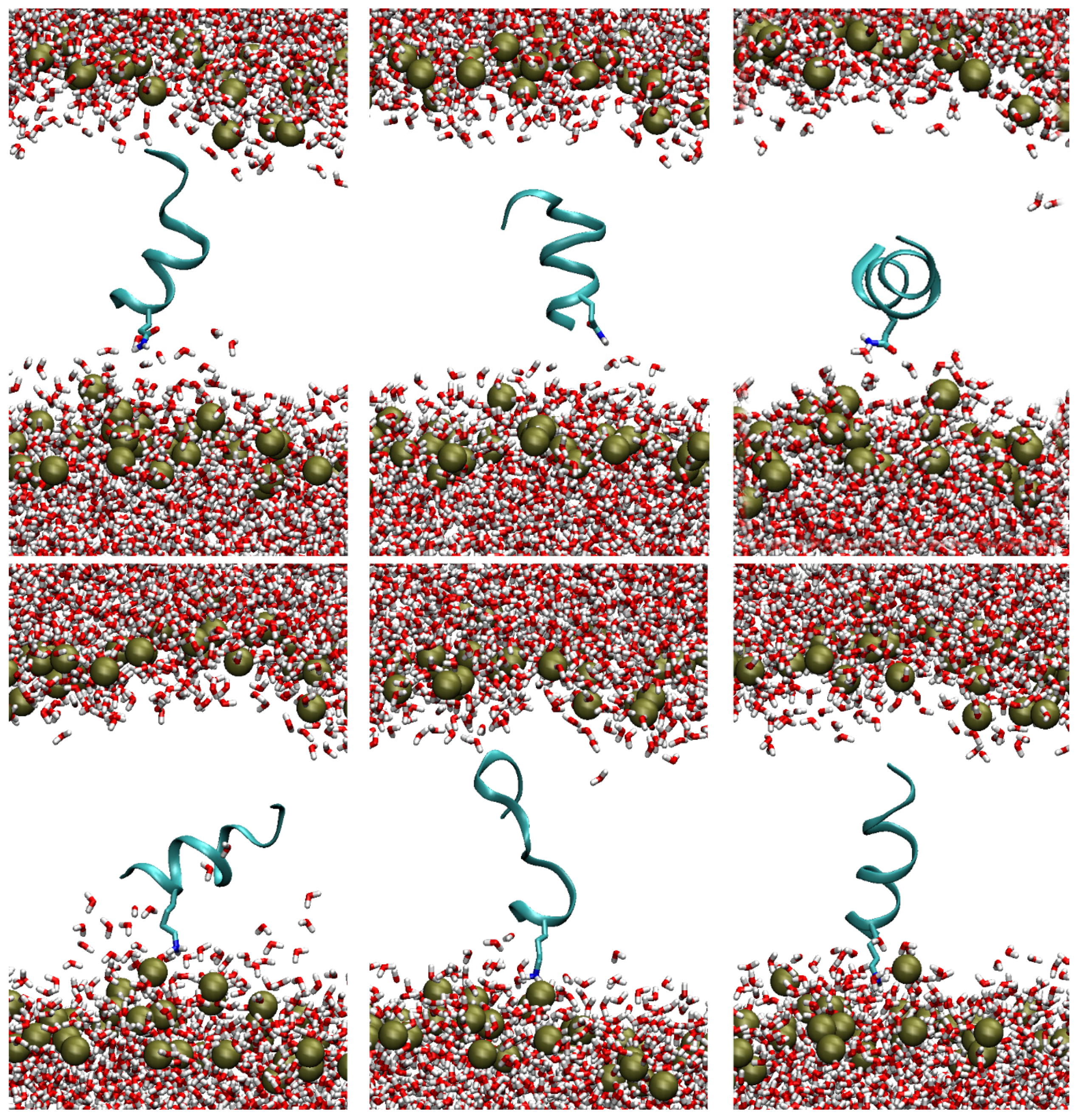 Molecules 22 01235 g003