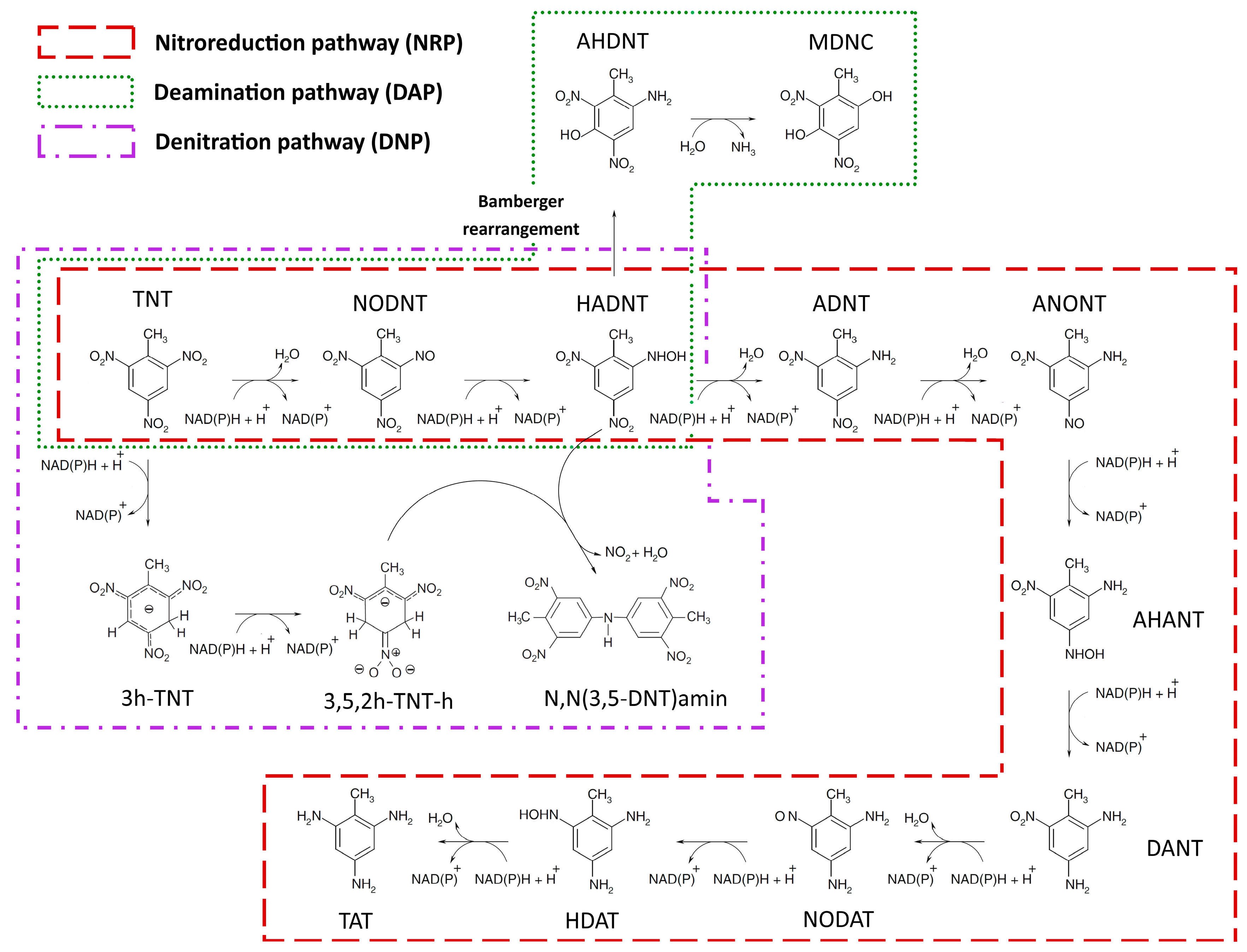 Molecules 22 01242 g001