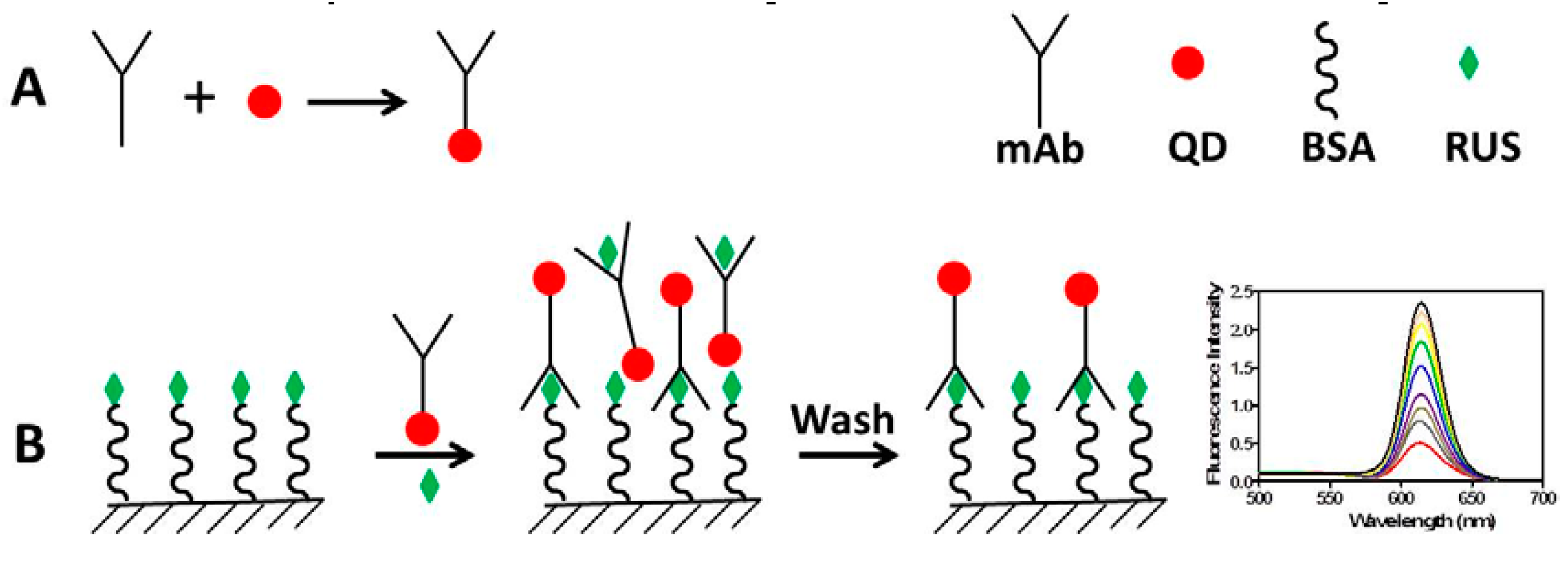 Molecules 22 01250 g007
