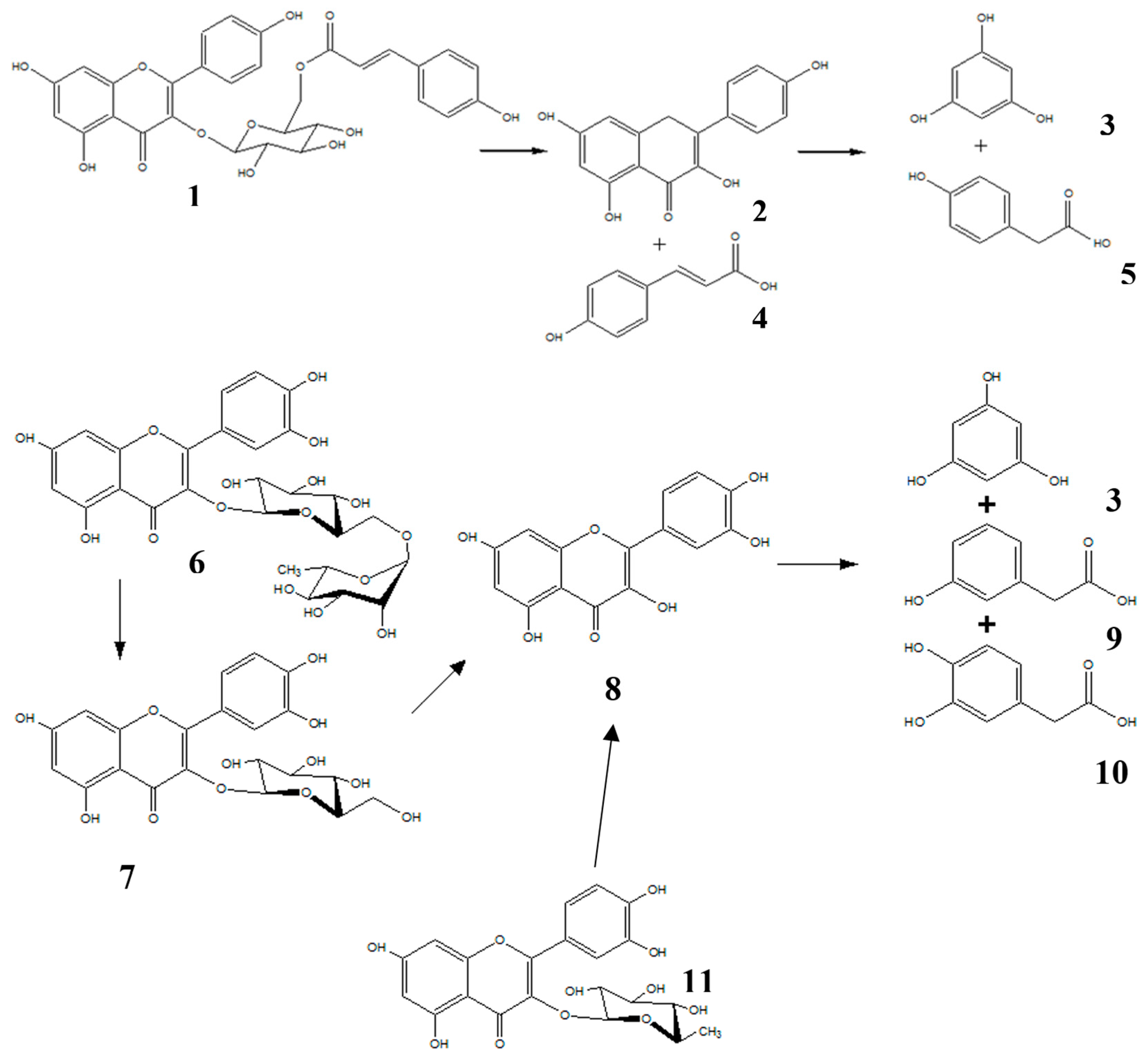 Molecules 22 01260 g001