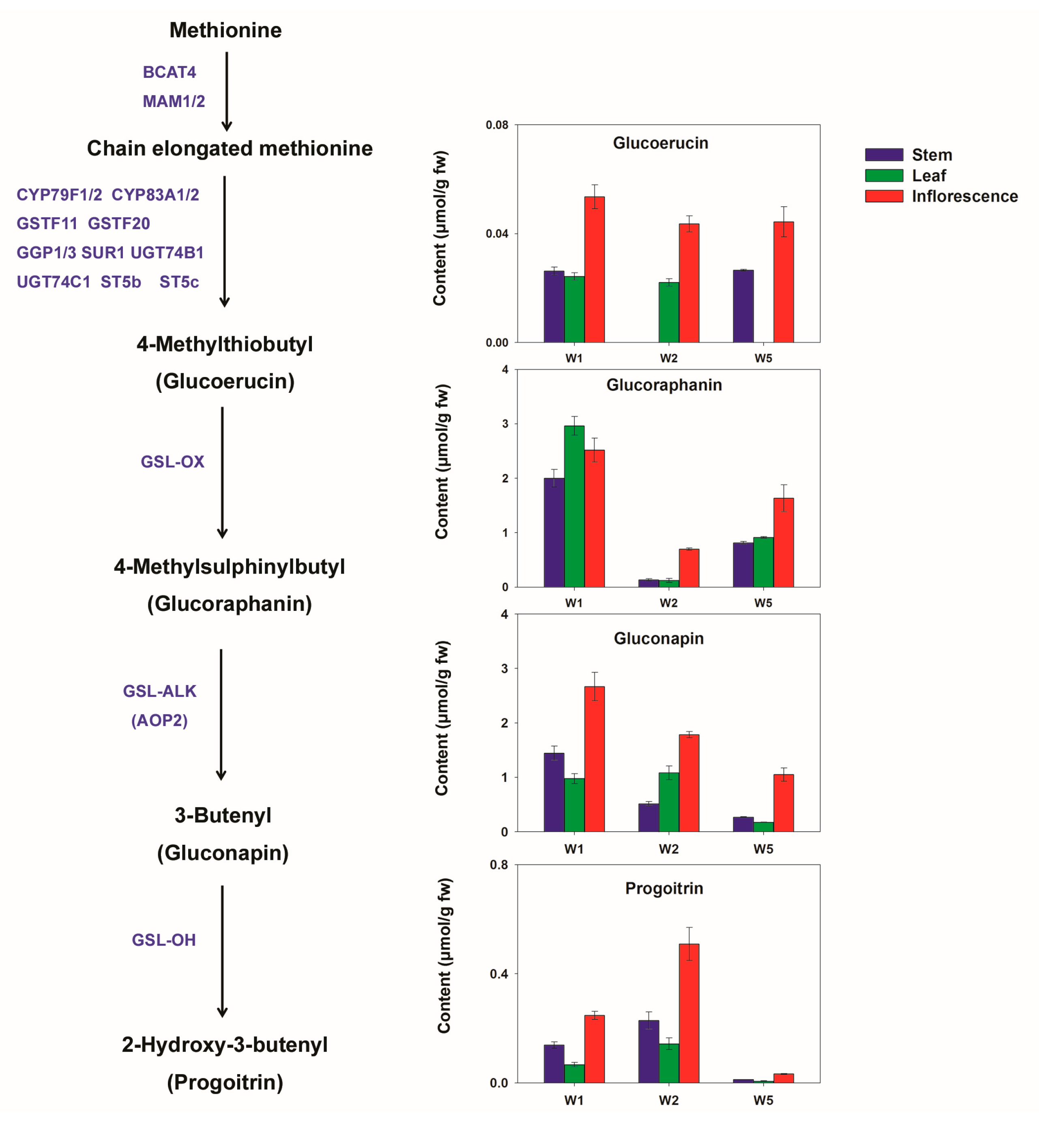 Molecules 22 01262 g005
