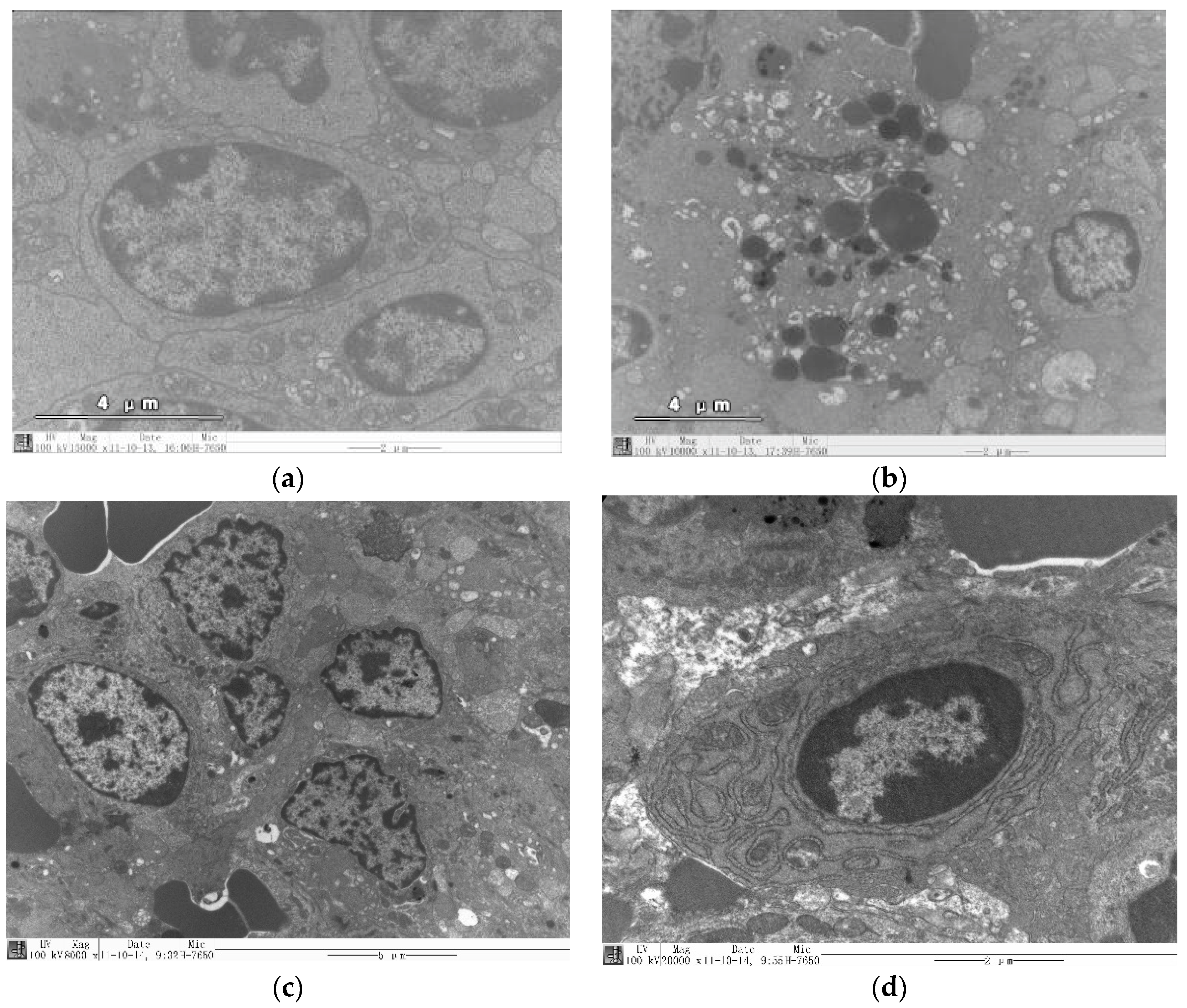Molecules 22 01266 g003