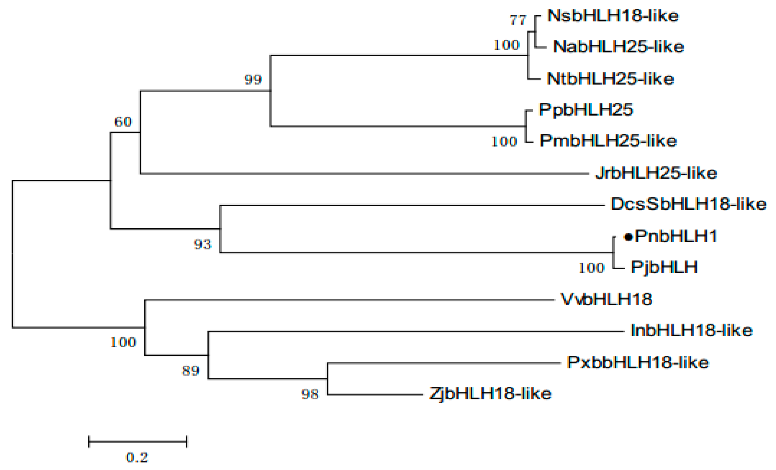 Molecules 22 01268 g003