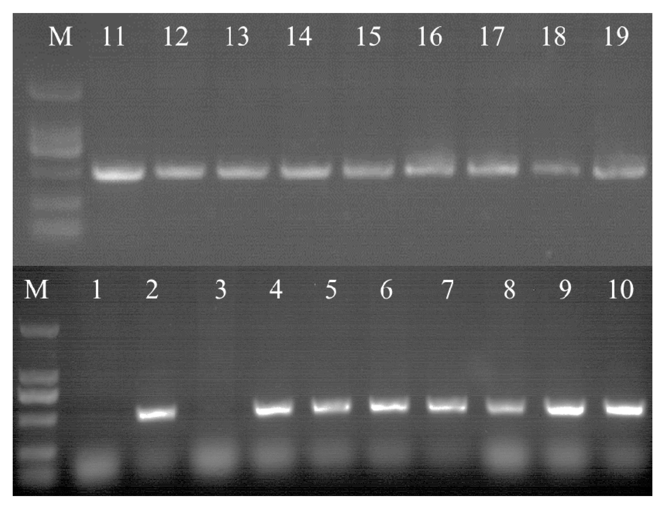 Molecules 22 01268 g007