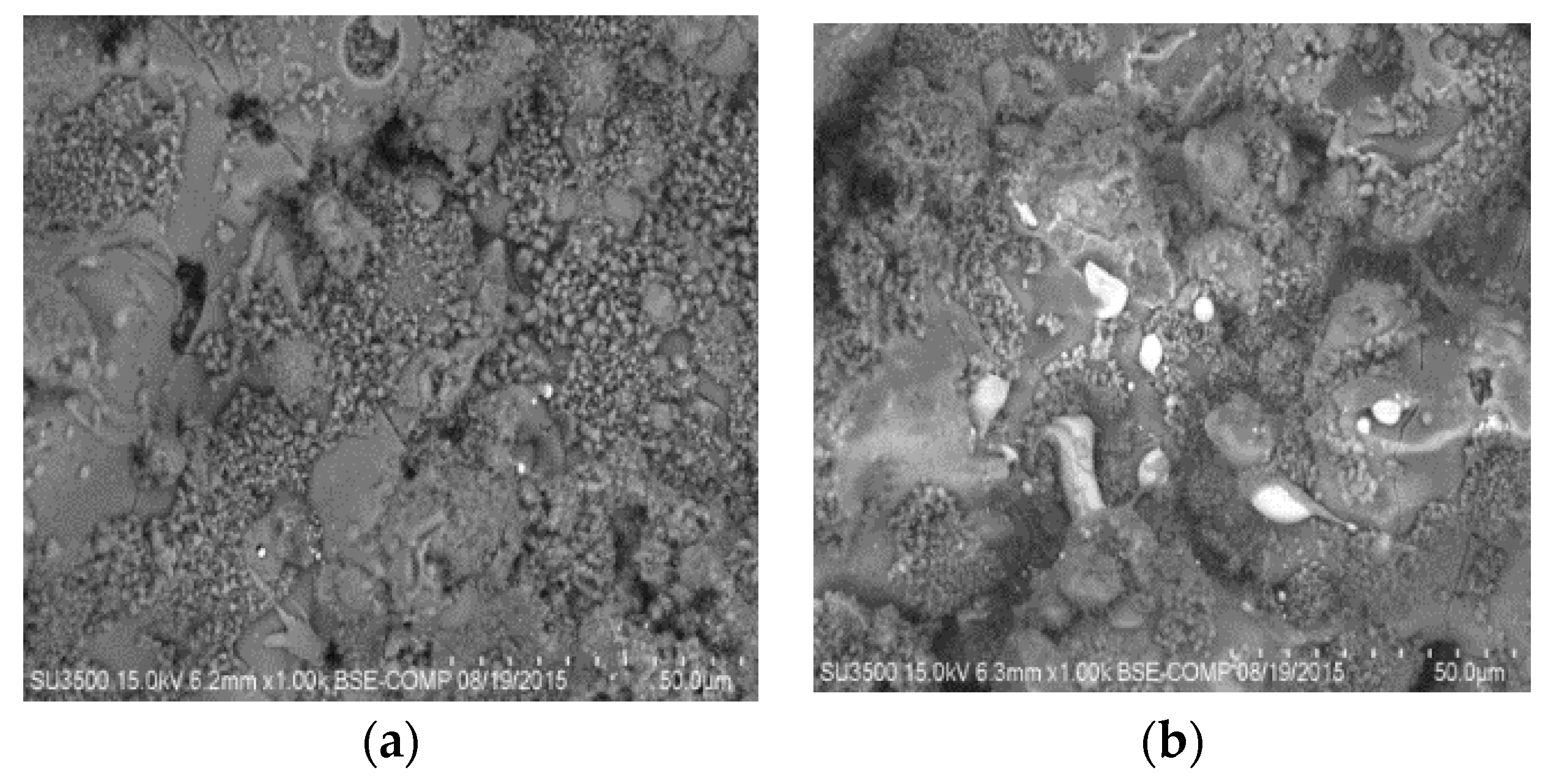 Molecules 22 01291 g003