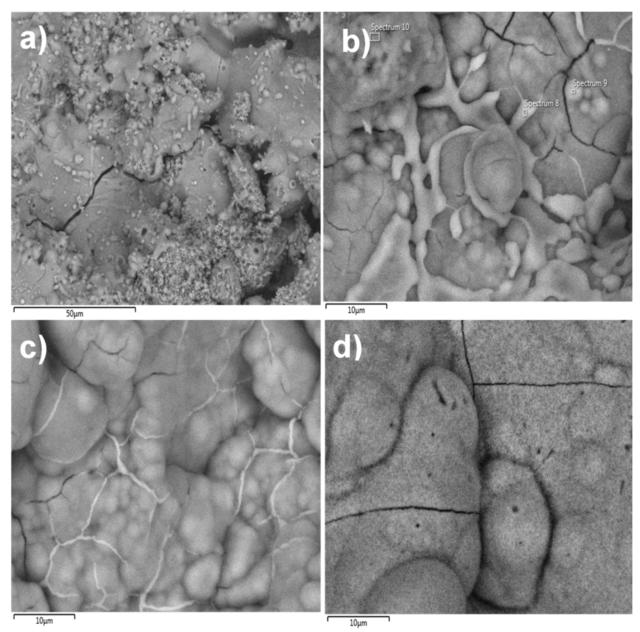 Molecules 22 01291 g004