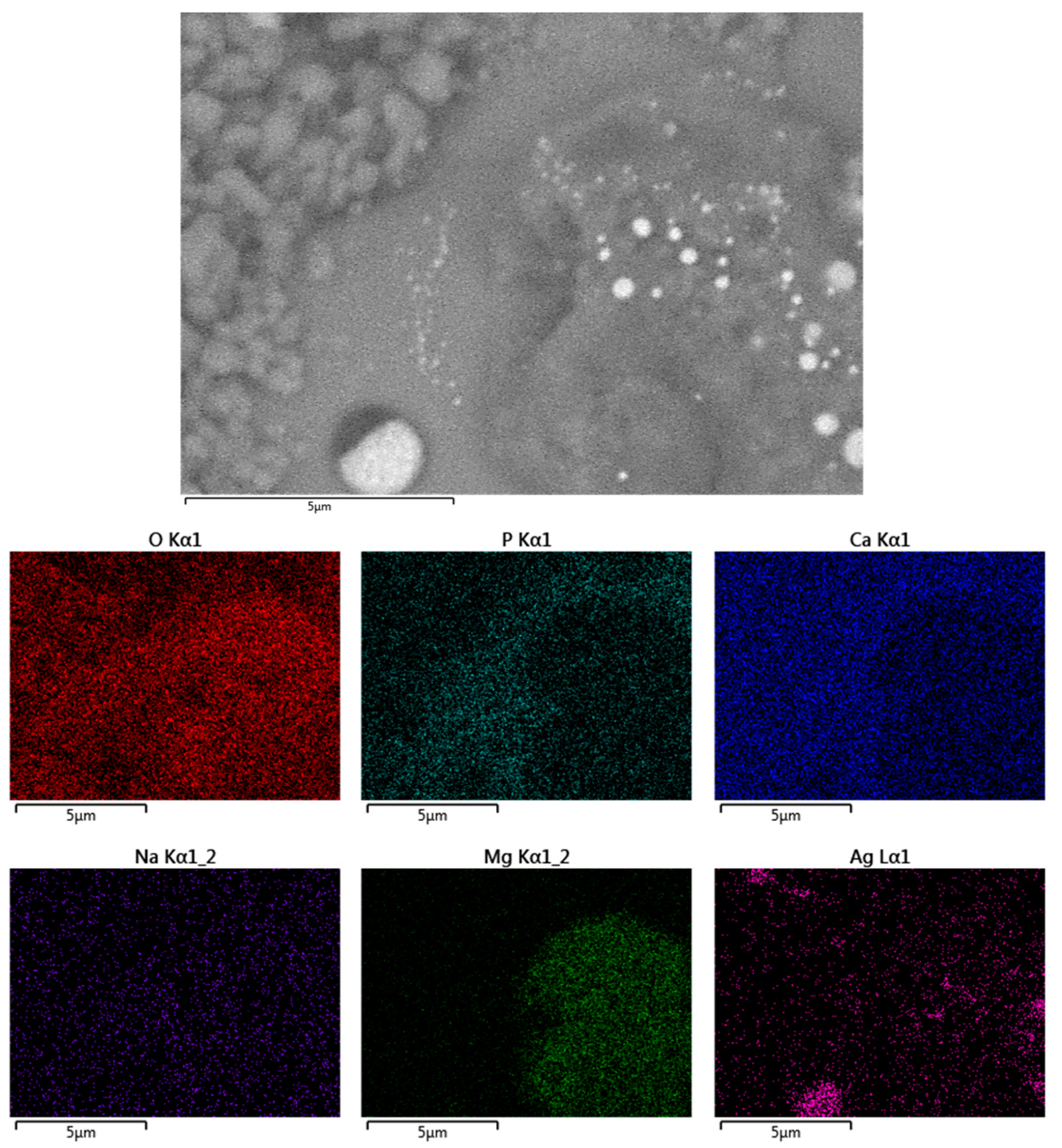 Molecules 22 01291 g006
