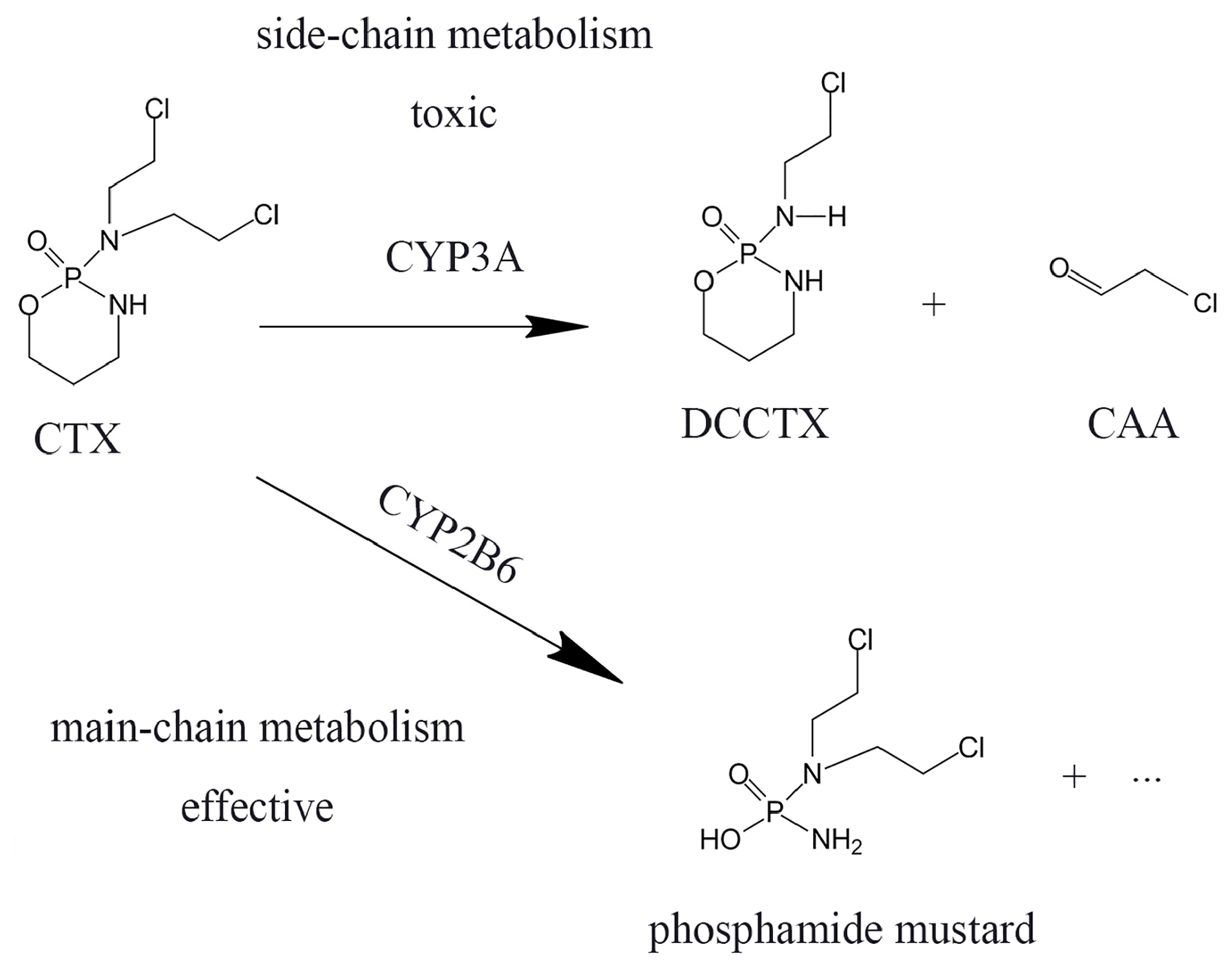 Molecules 22 01298 sch001