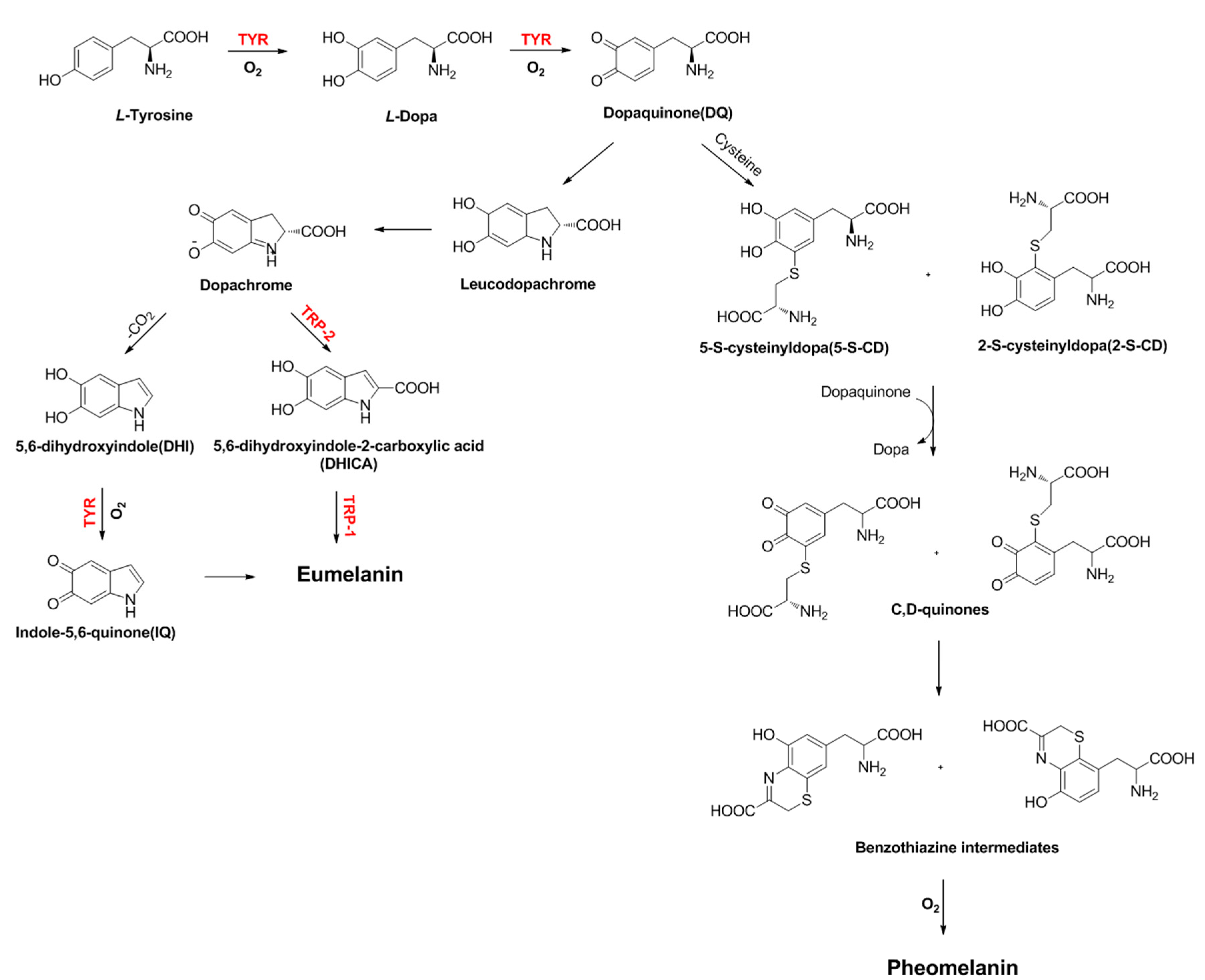 Molecules 22 01303 sch001