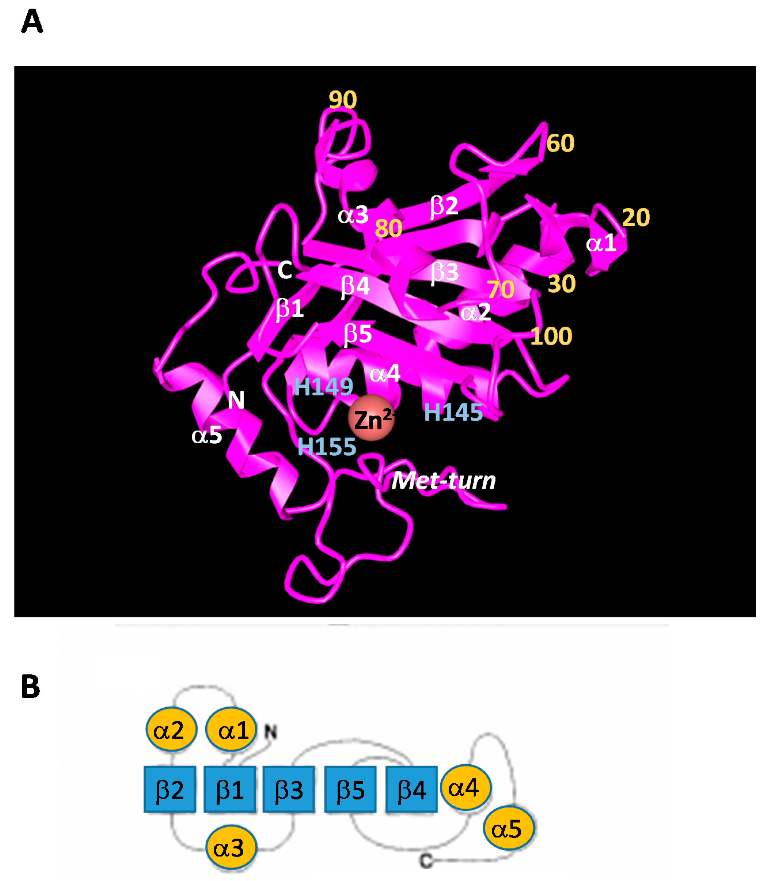 Molecules 22 01305 g002