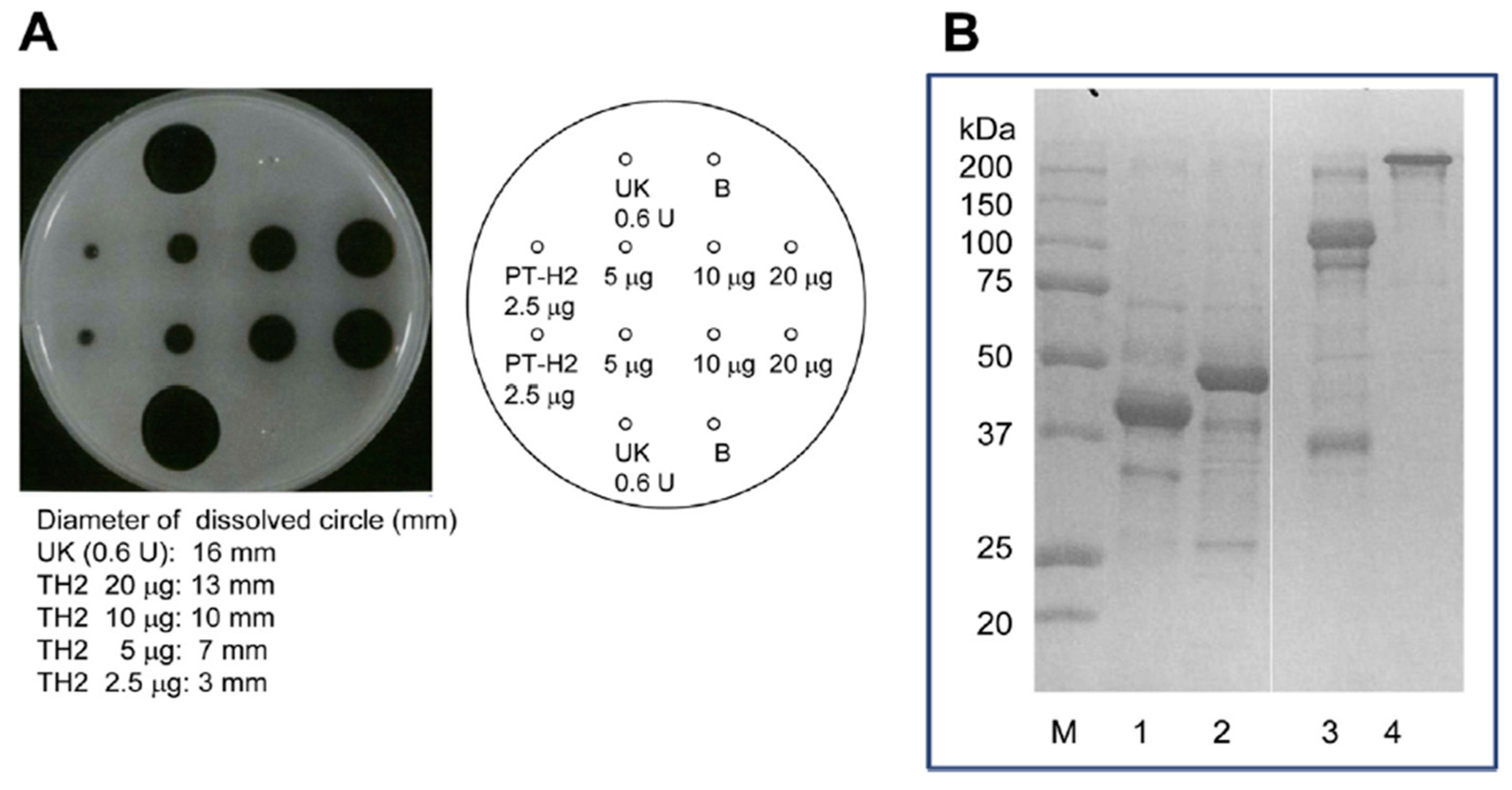 Molecules 22 01305 g004