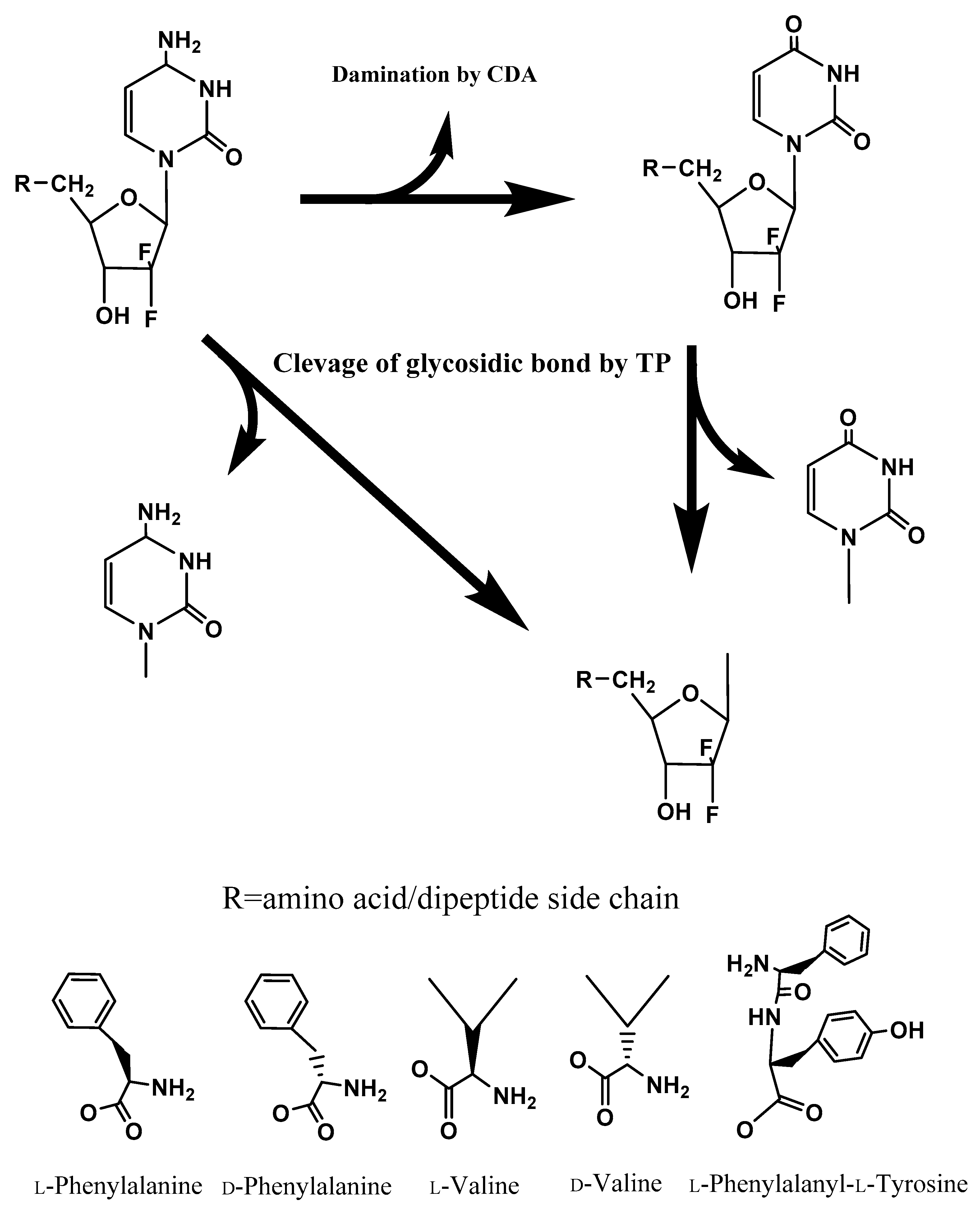 Molecules 22 01322 g001