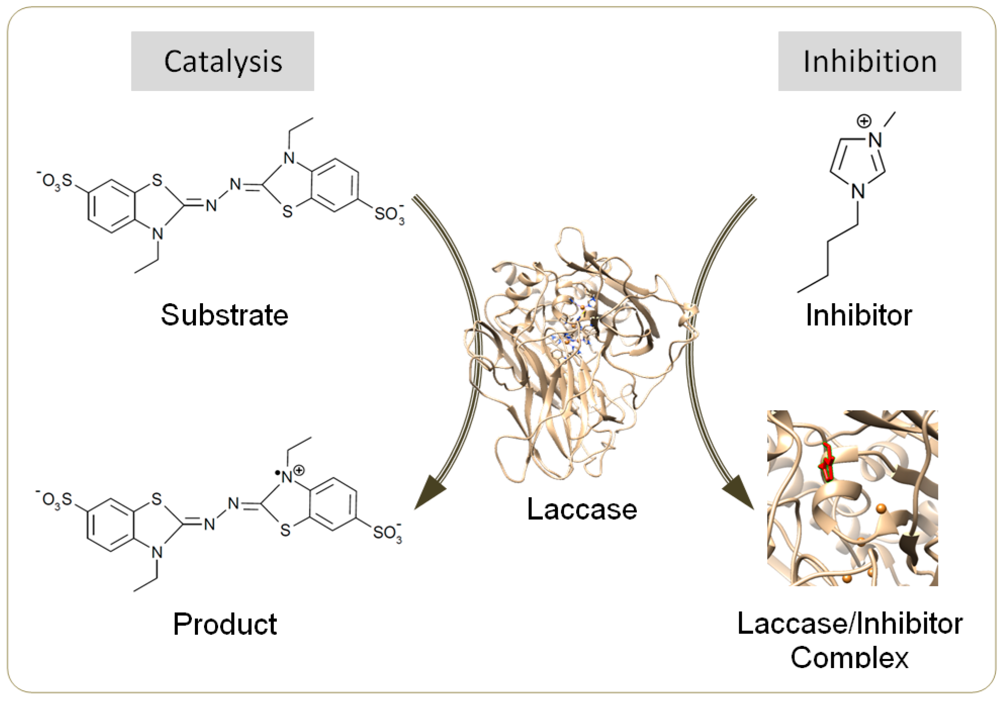 Molecules 22 01353 g001